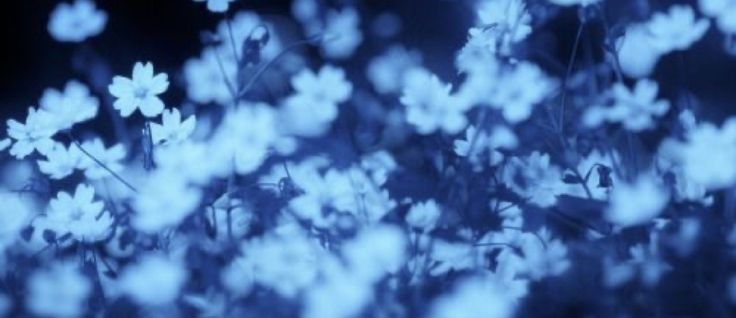 Banner Background