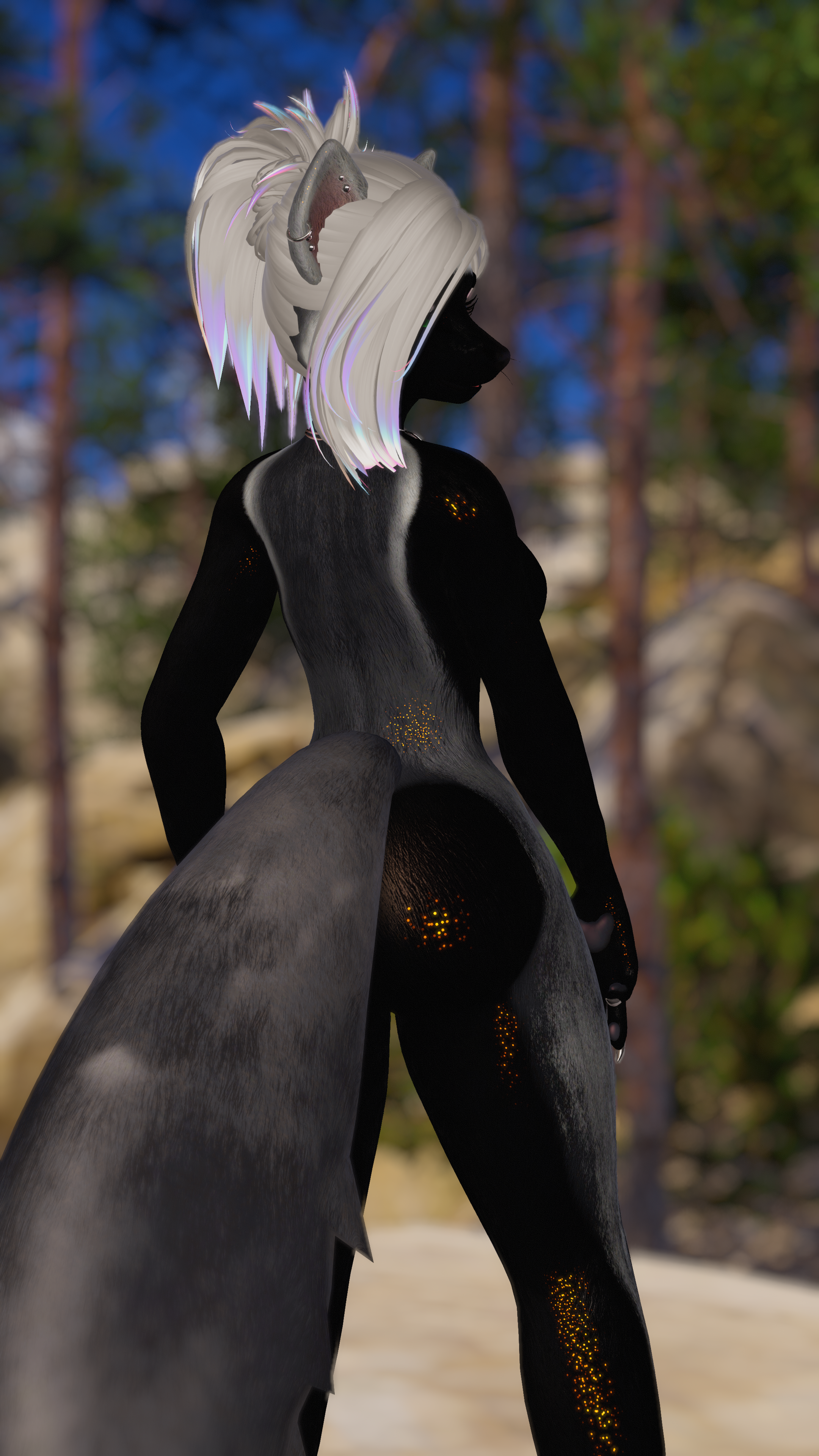 Mustelid Meeko Pack