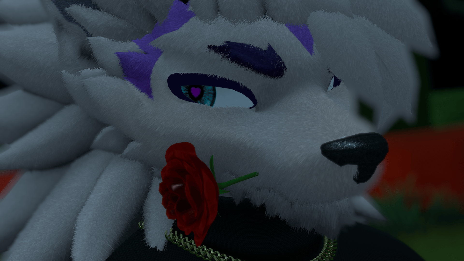 Banner Background