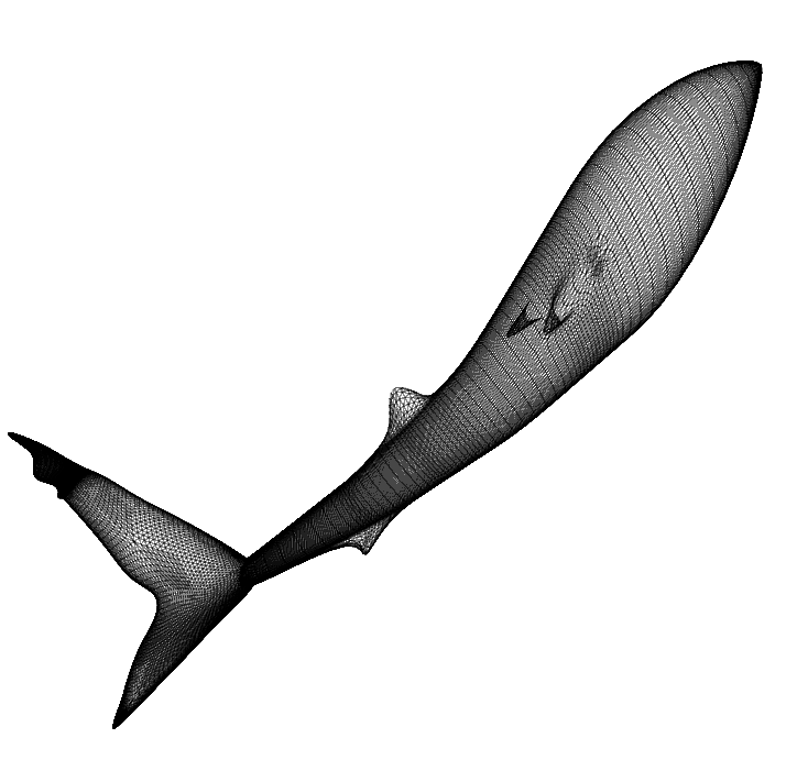 SHARK TAIL