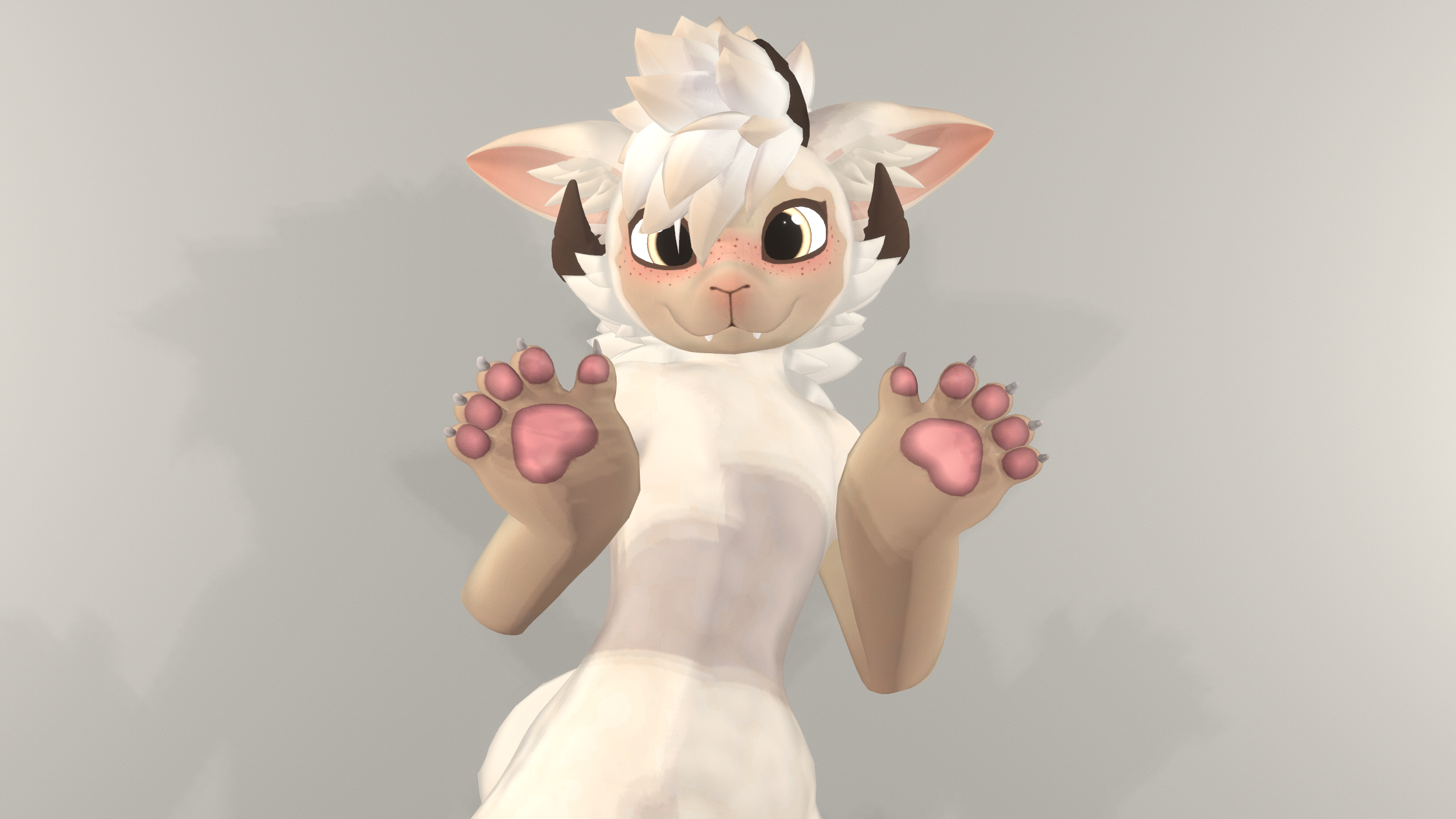 Sheep Lamb Goobastera Texture