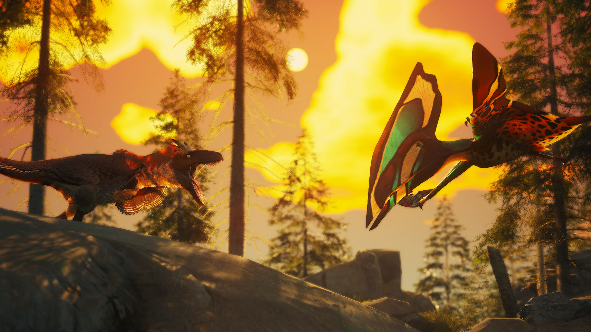 Banner Background