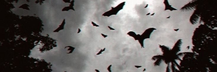 Banner Background