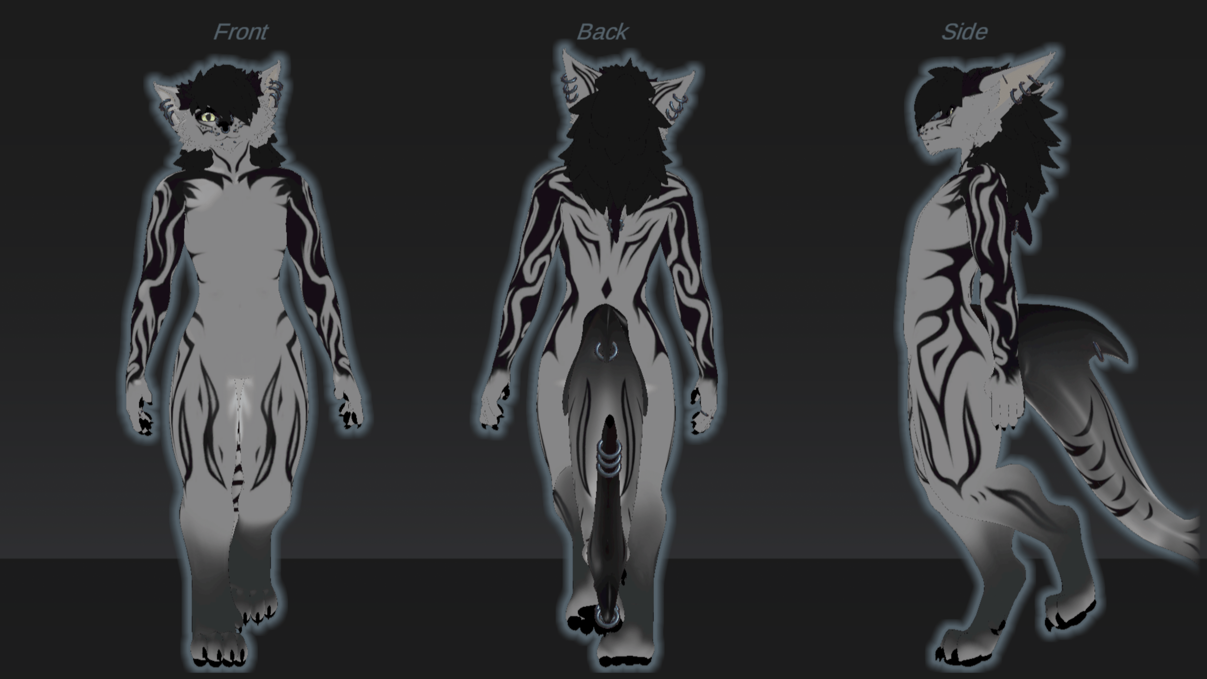Maliwan/Malibu - BlackShark Texture