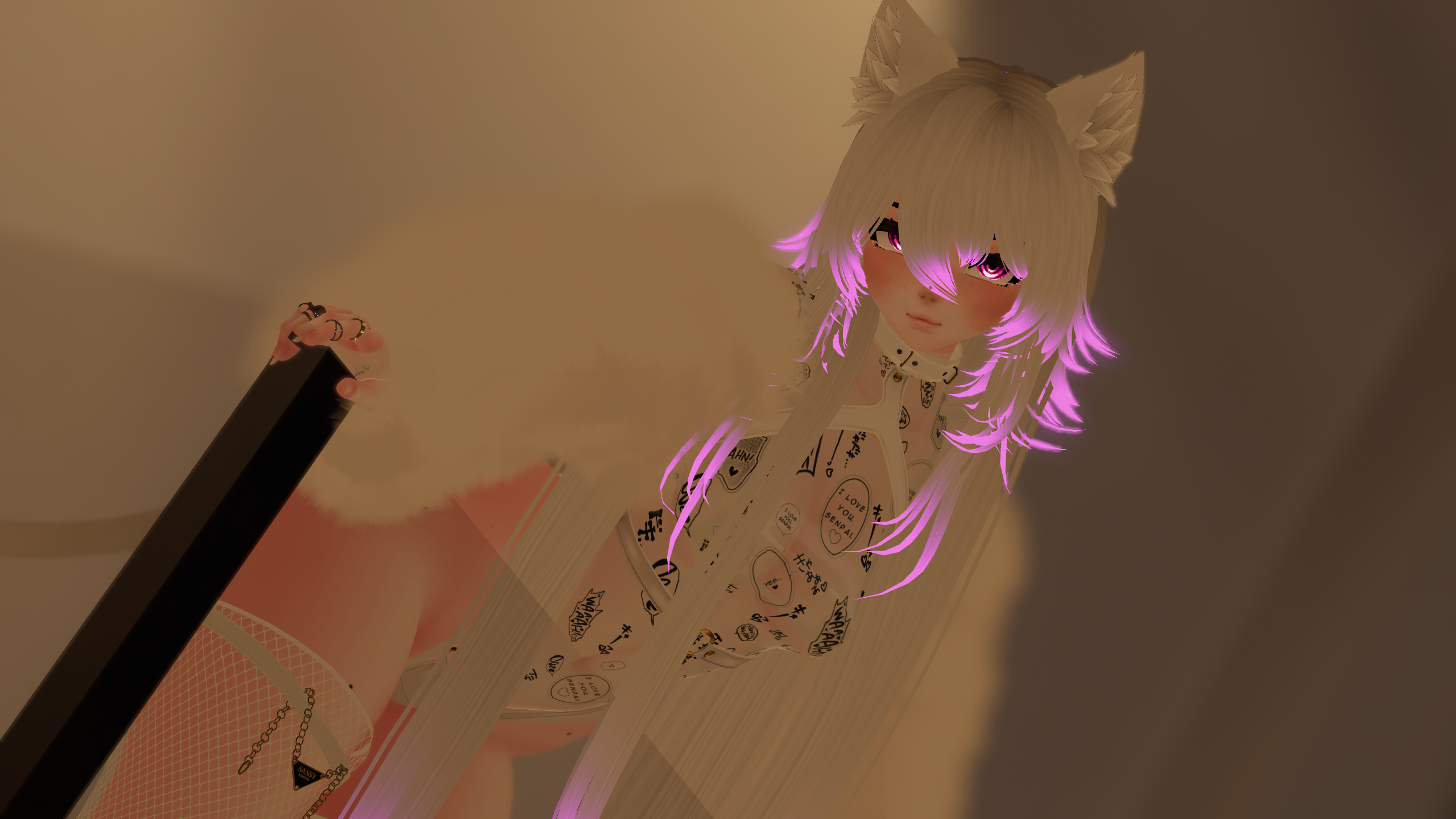 Kitten