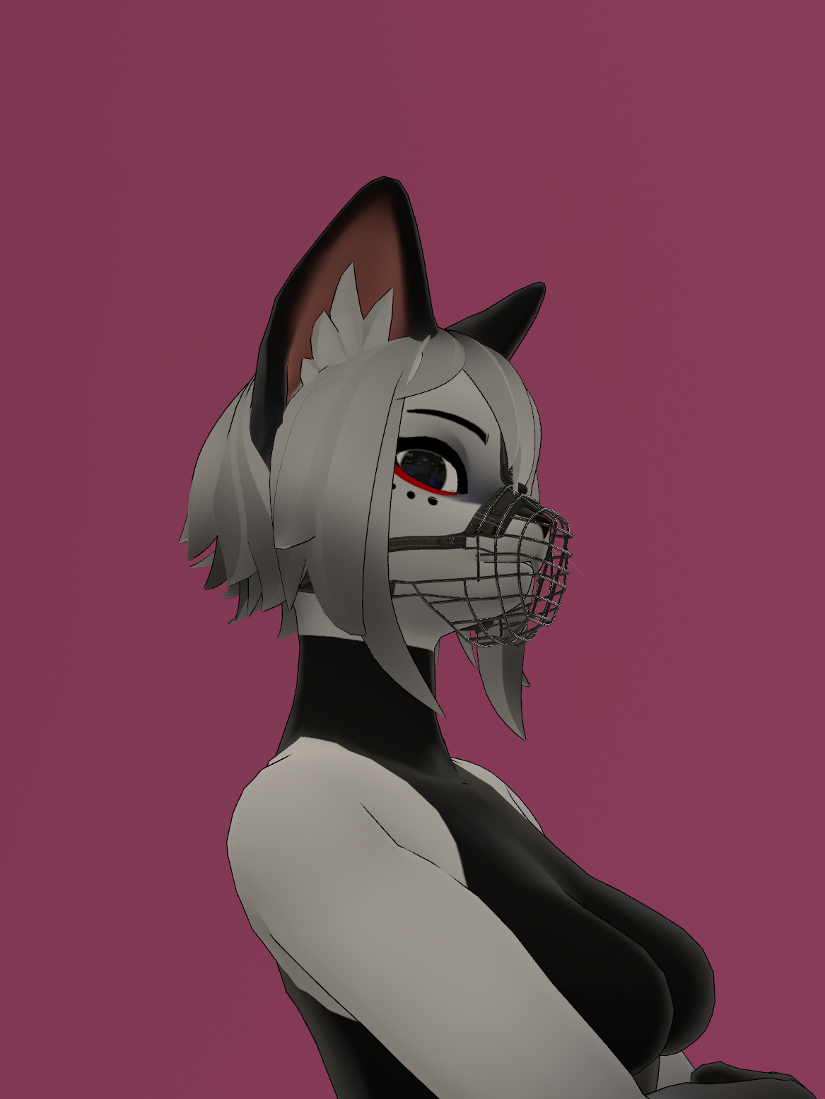 PnC Vix Muzzle