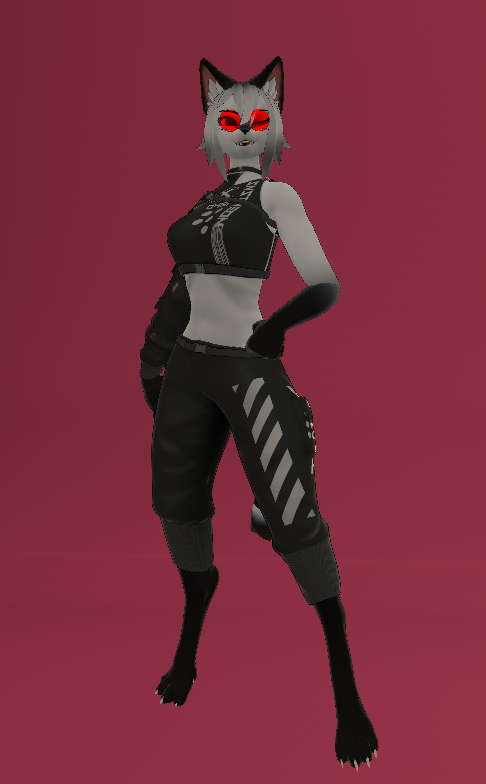 PnC Vix Cyber Cat