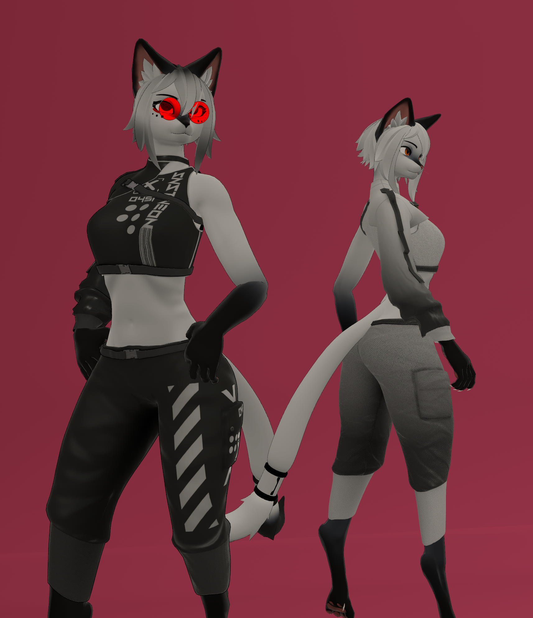 PnC Vix Cyber Cat