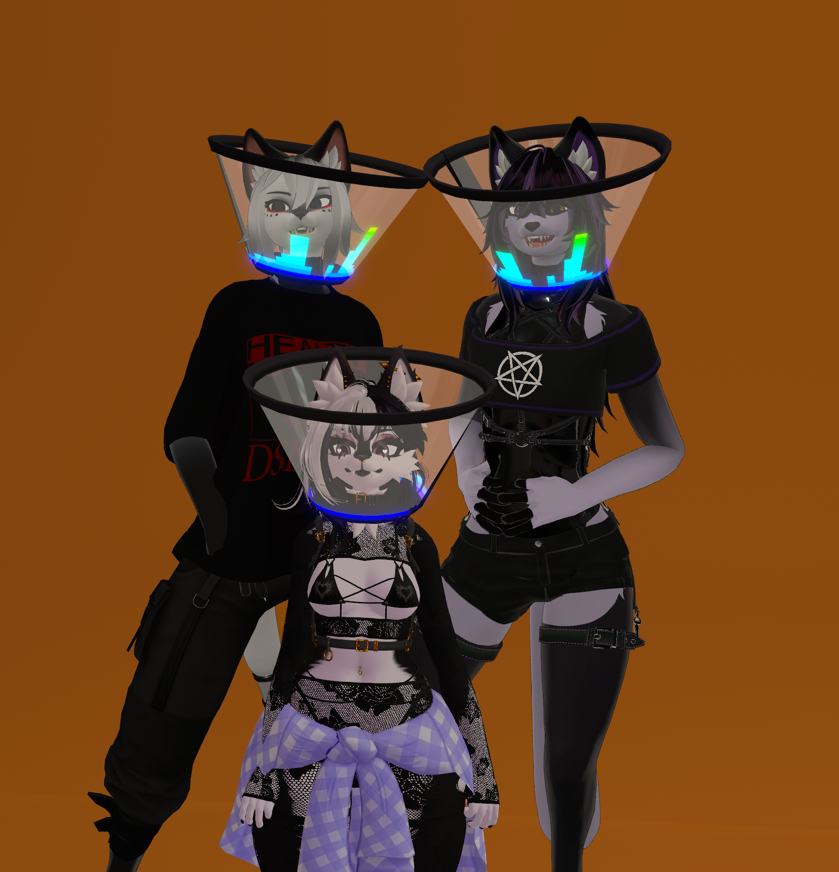PnC Cone