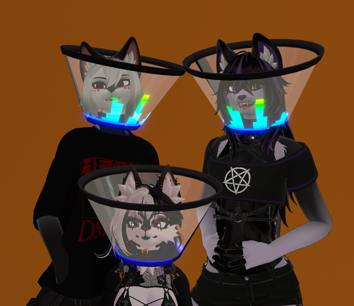 PnC Cone