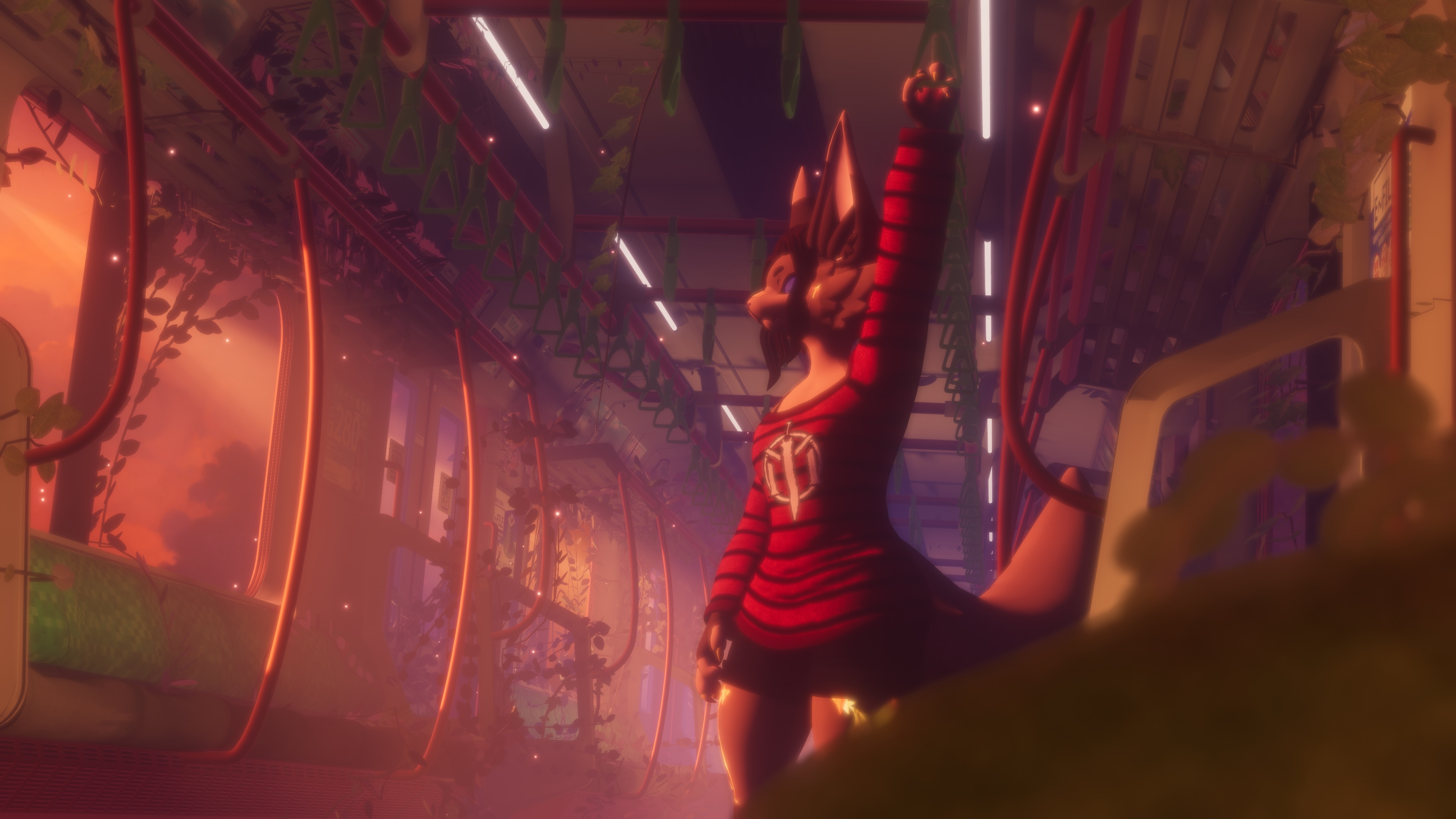 Banner Background