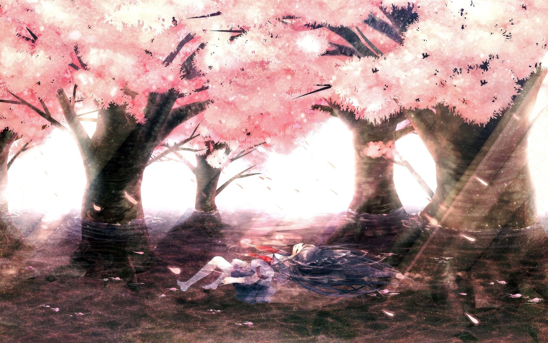 Banner Background