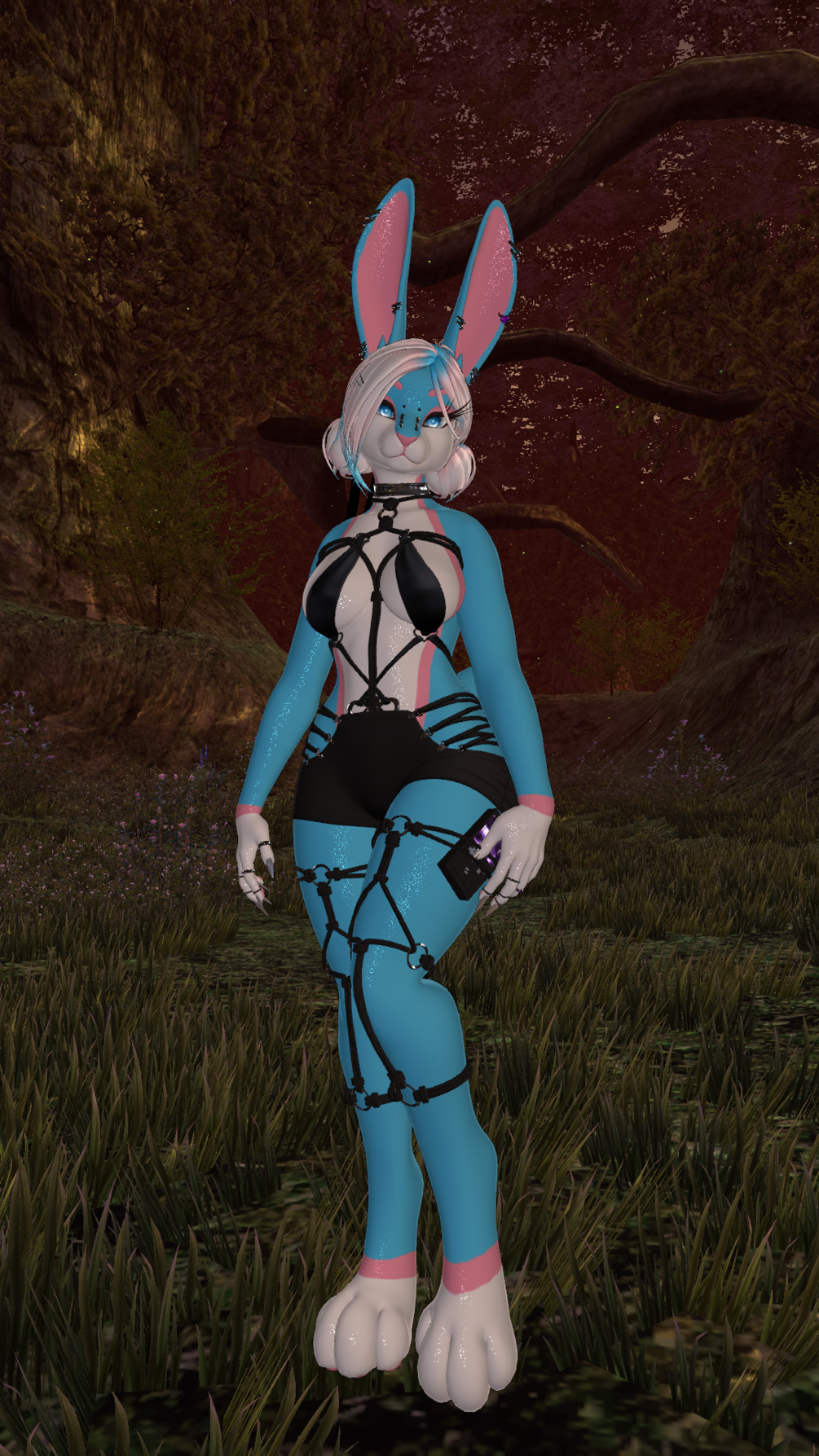 Trans flag ALICE BUNNY