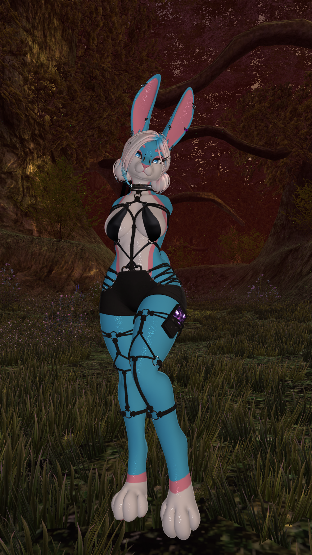 Trans flag ALICE BUNNY
