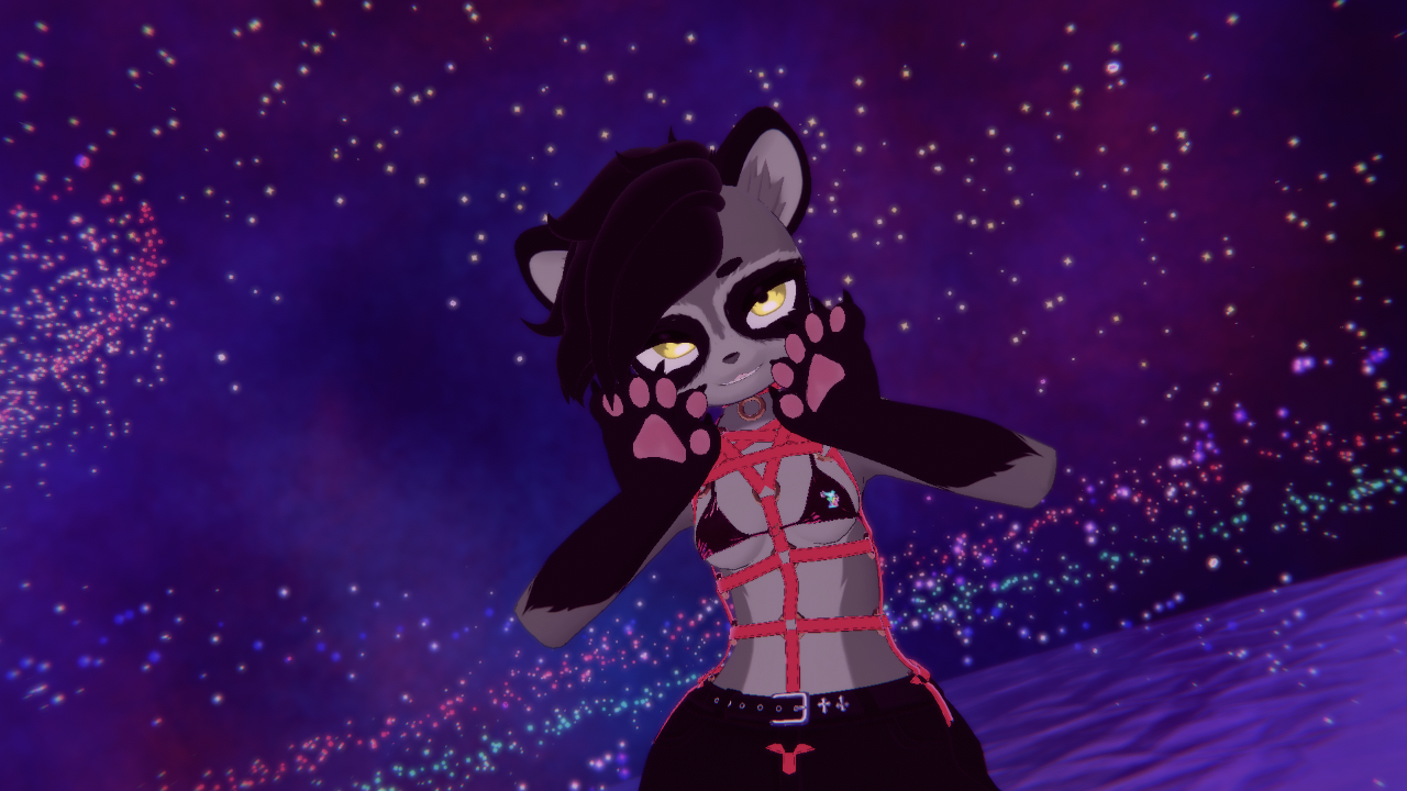 Ruy Racoon