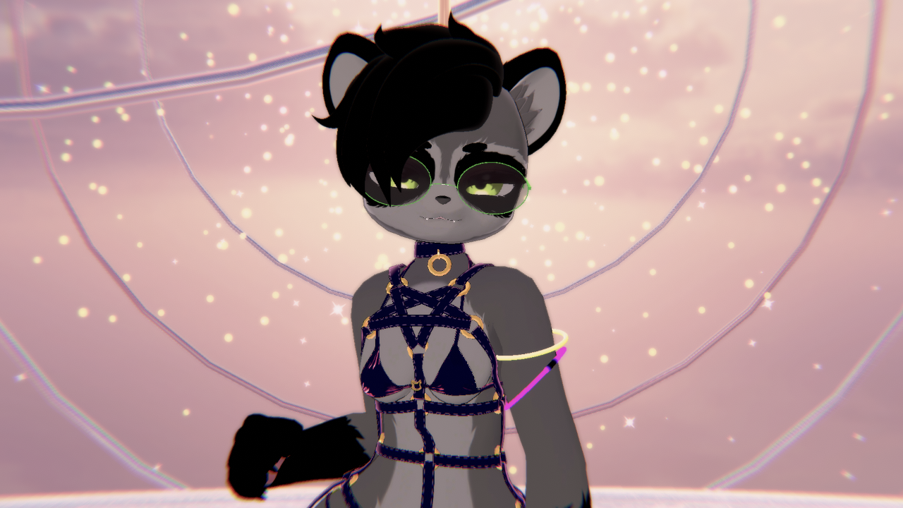 Ruy Racoon