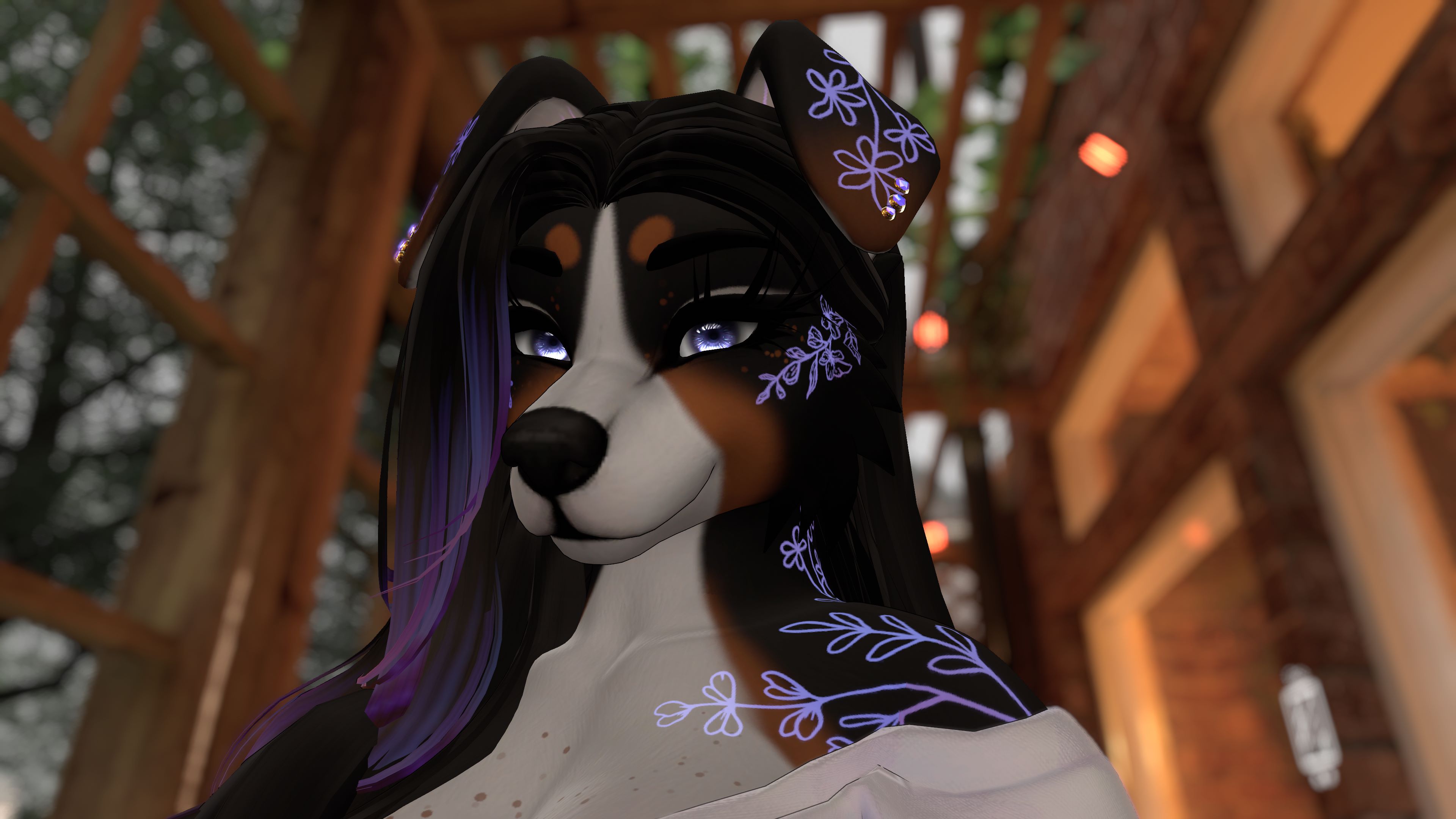 Bernese Mountain Dog Honey  - Foxipaws Texture