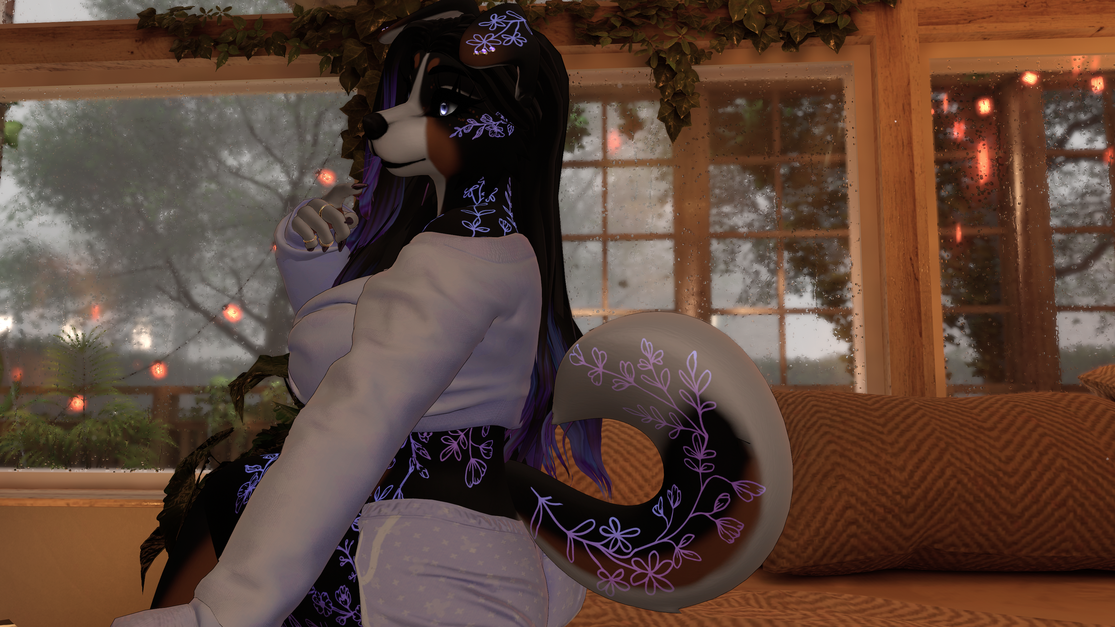 Bernese Mountain Dog Honey - Foxipaws Texture