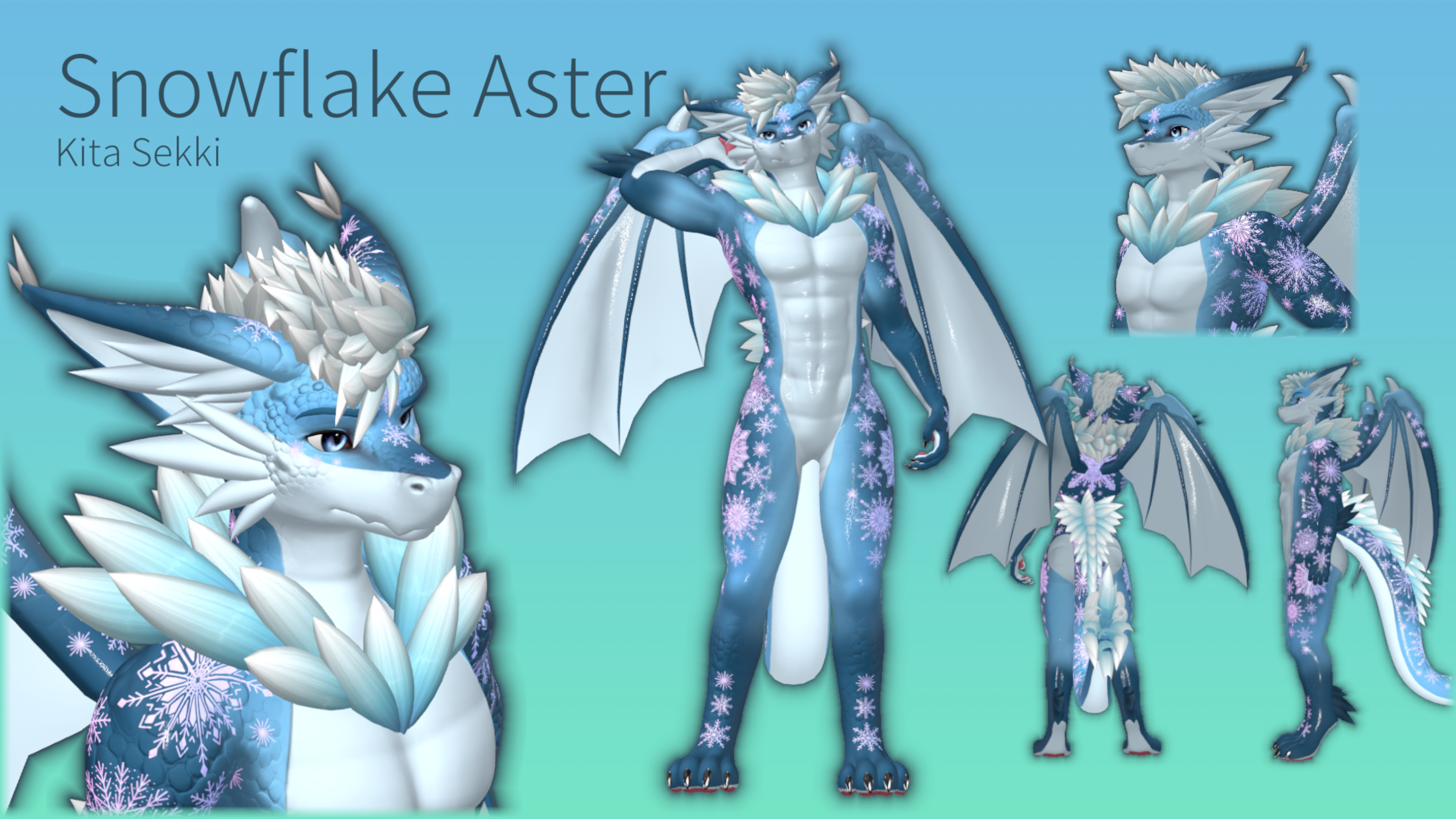Snow Dragon Aster Texture