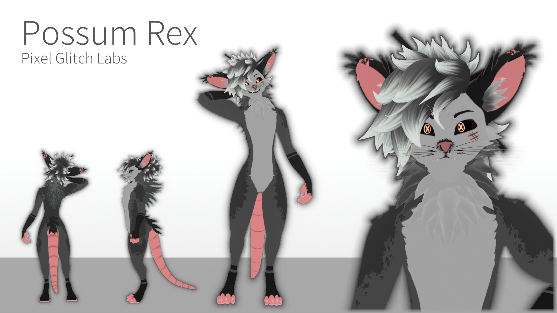 Possum Rexouium Texture