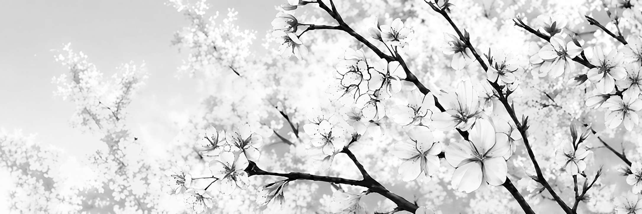 Banner-Hintergrund