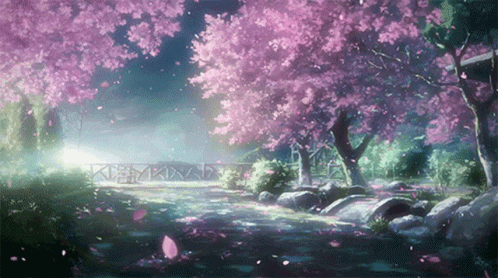 Banner Background