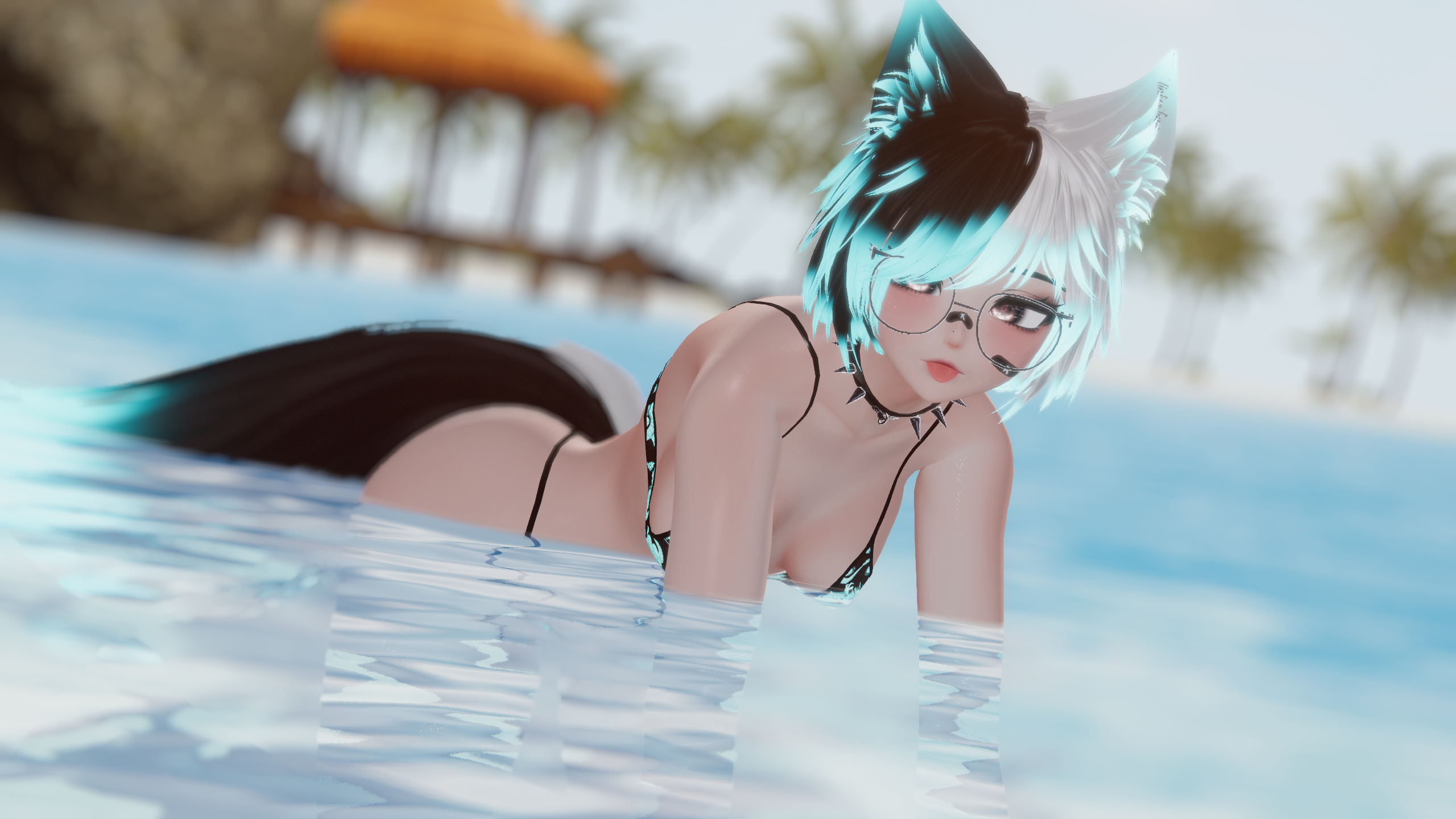 Xilo(PC+Medium)