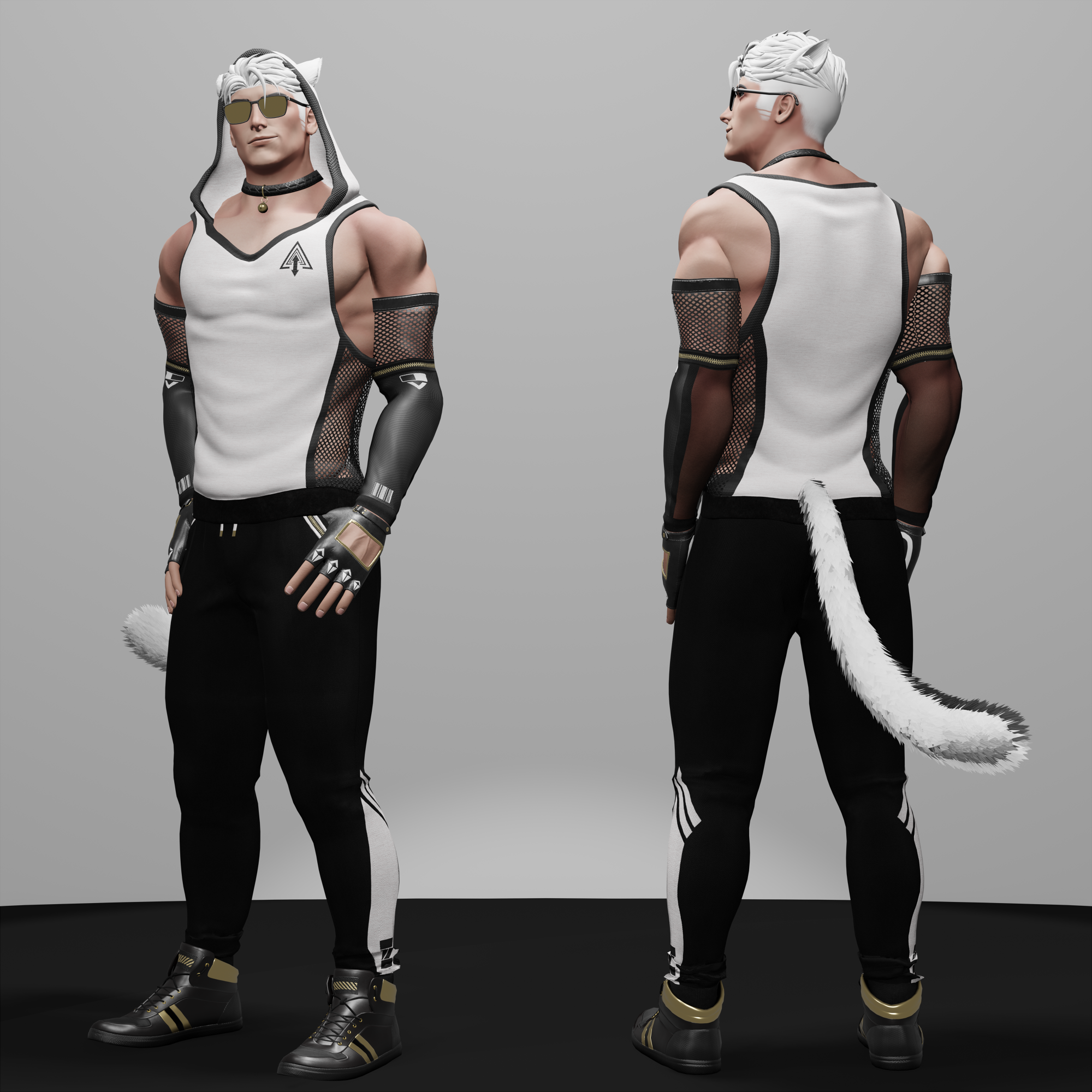 Gym Cat - PC Avatar - Personal License Only