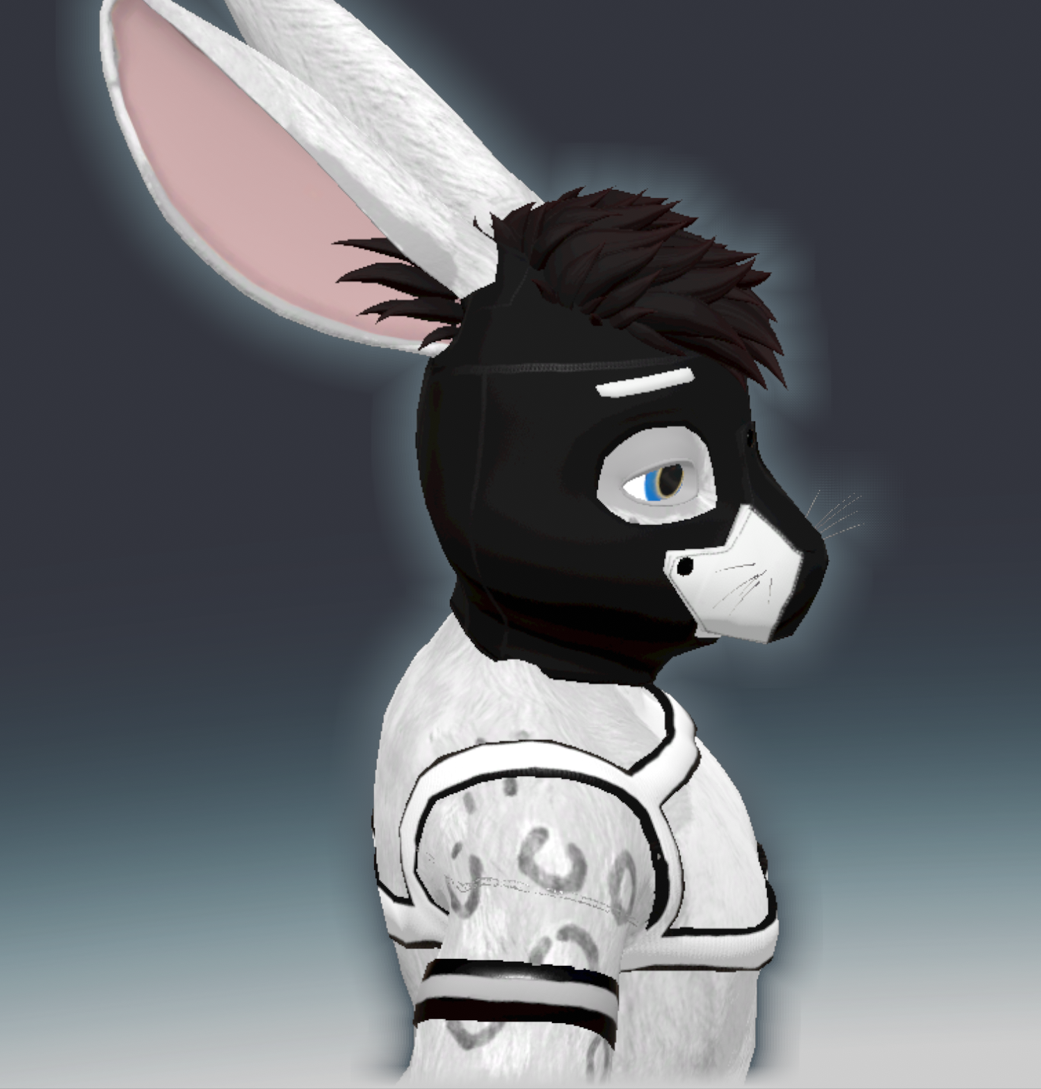 Pup Gear for Crispy Bunny