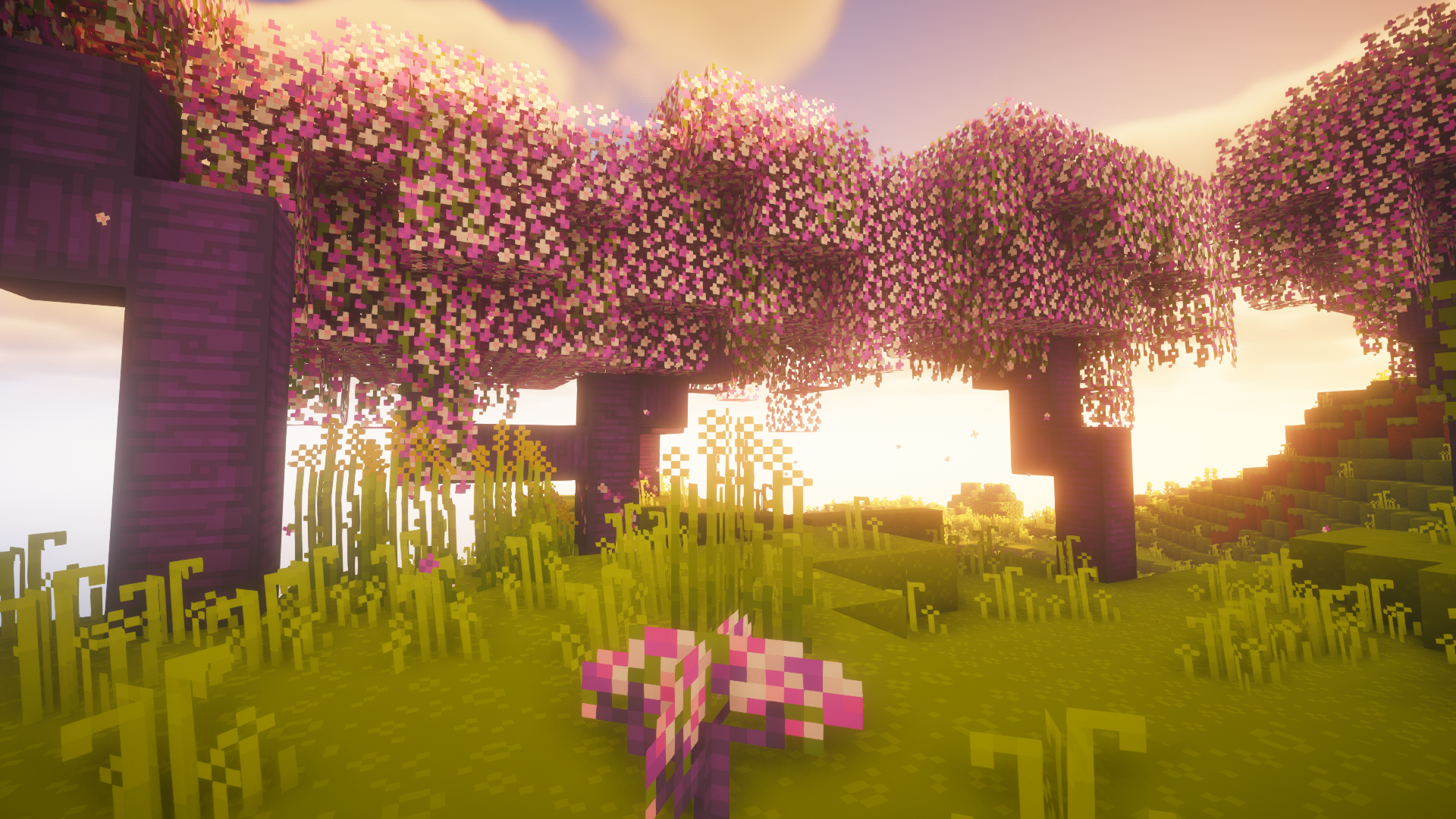 Banner Background