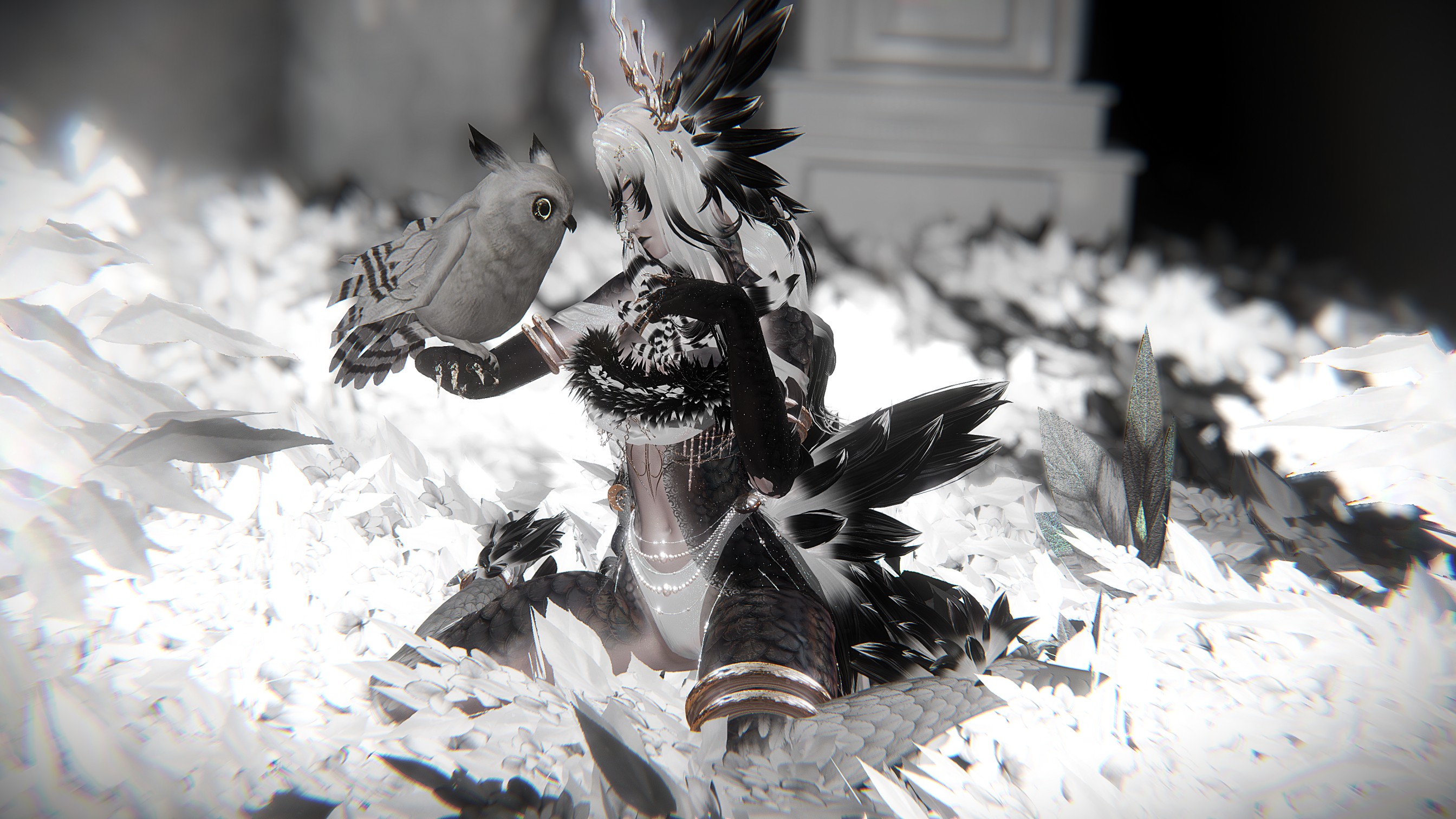 Novaria - The Snow Owl