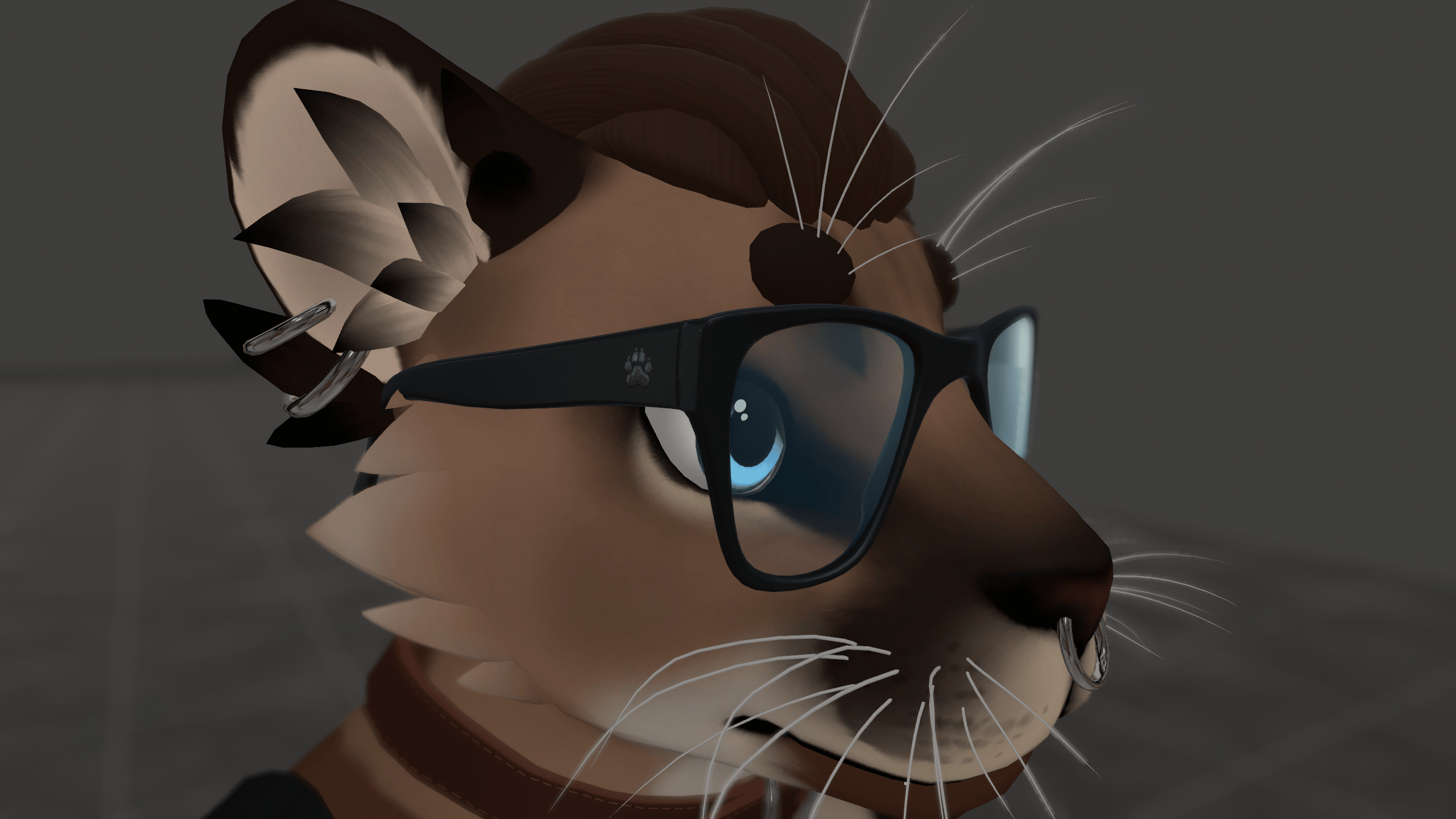 Framed Glasses for Winterpaw Feline