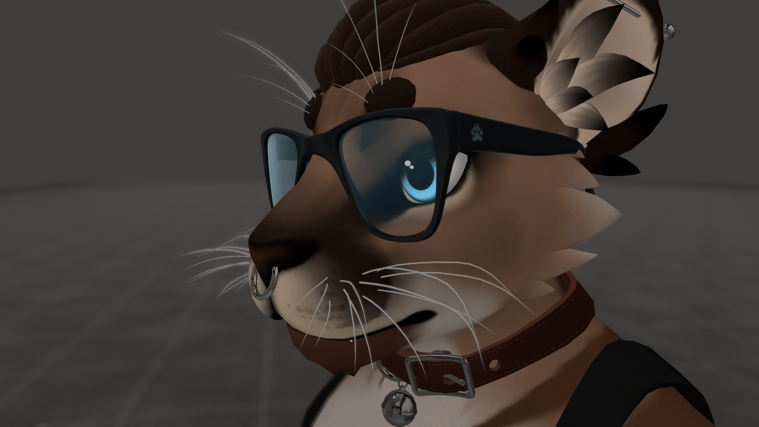 Framed Glasses for Winterpaw Feline