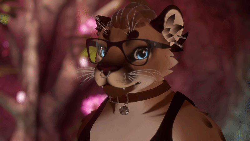 Framed Glasses for Winterpaw Feline
