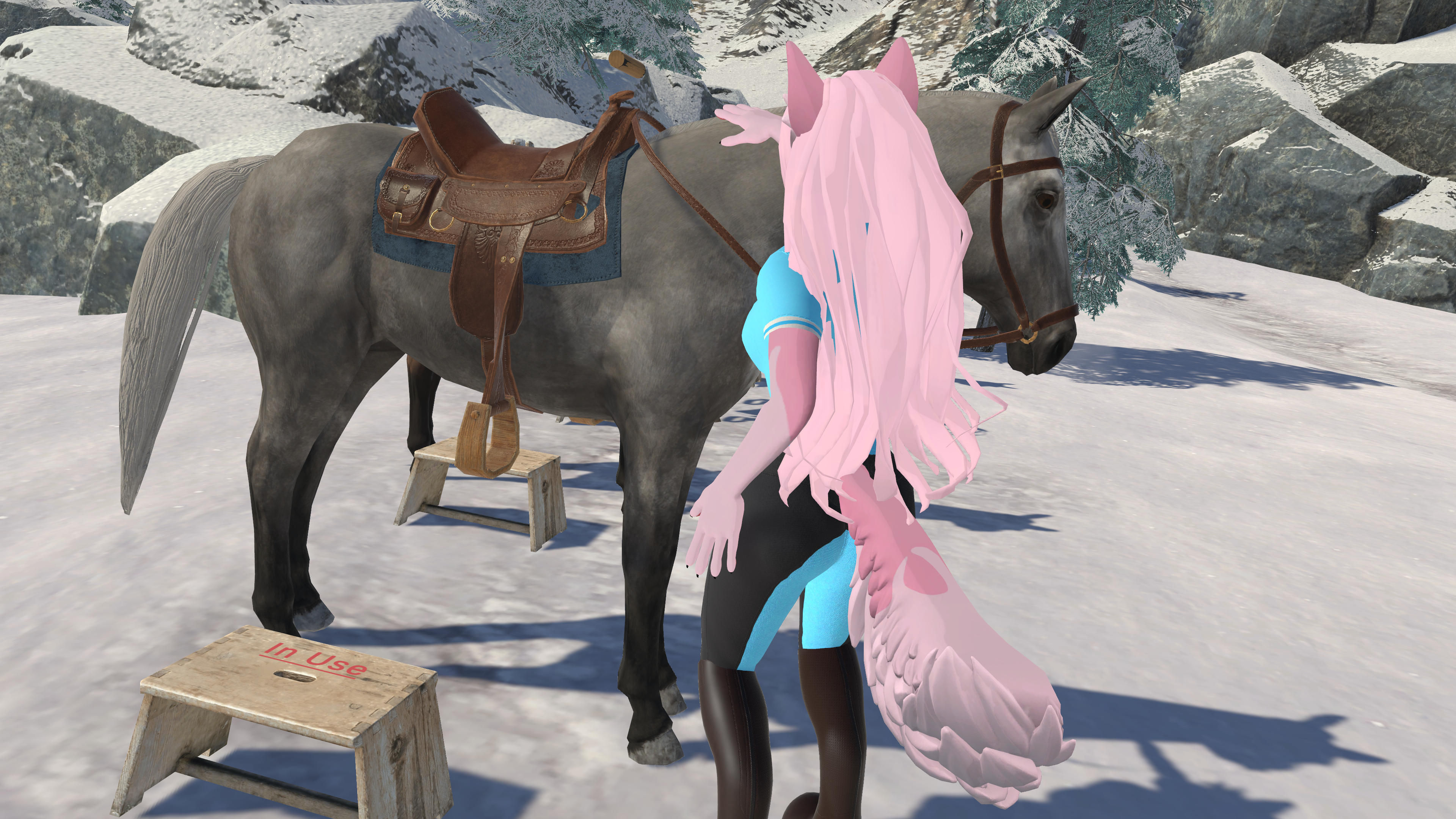 Riding Polo - Winterpaw FemCanine