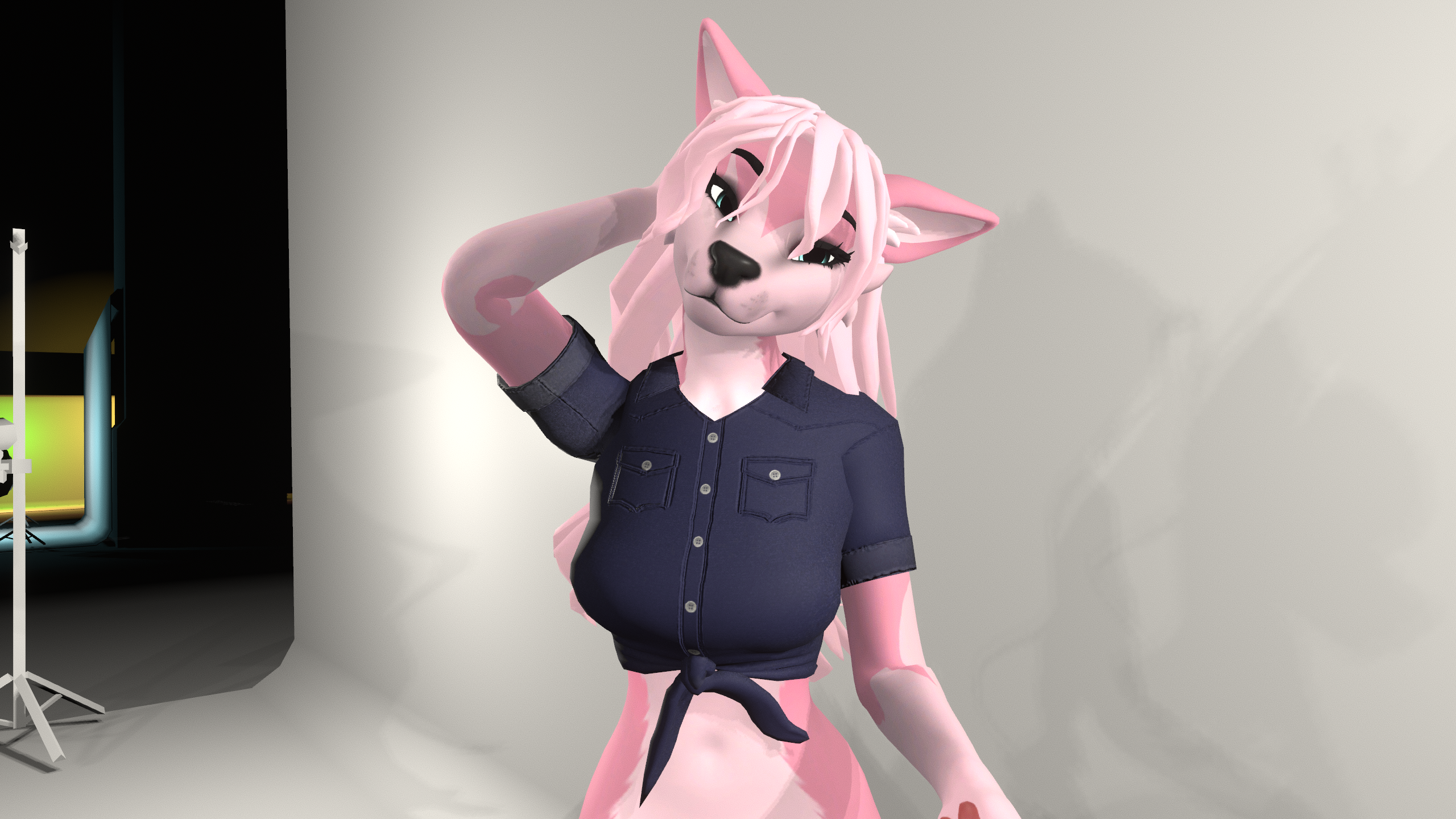 Tied Croptop - Winterpaw Femcanine