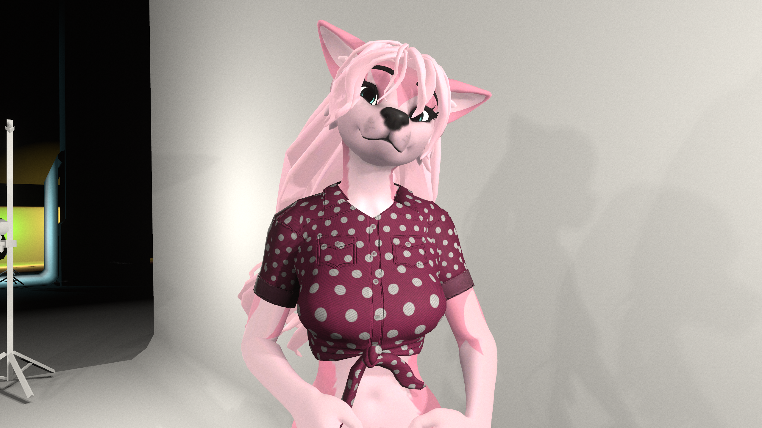 Tied Croptop - Winterpaw Femcanine