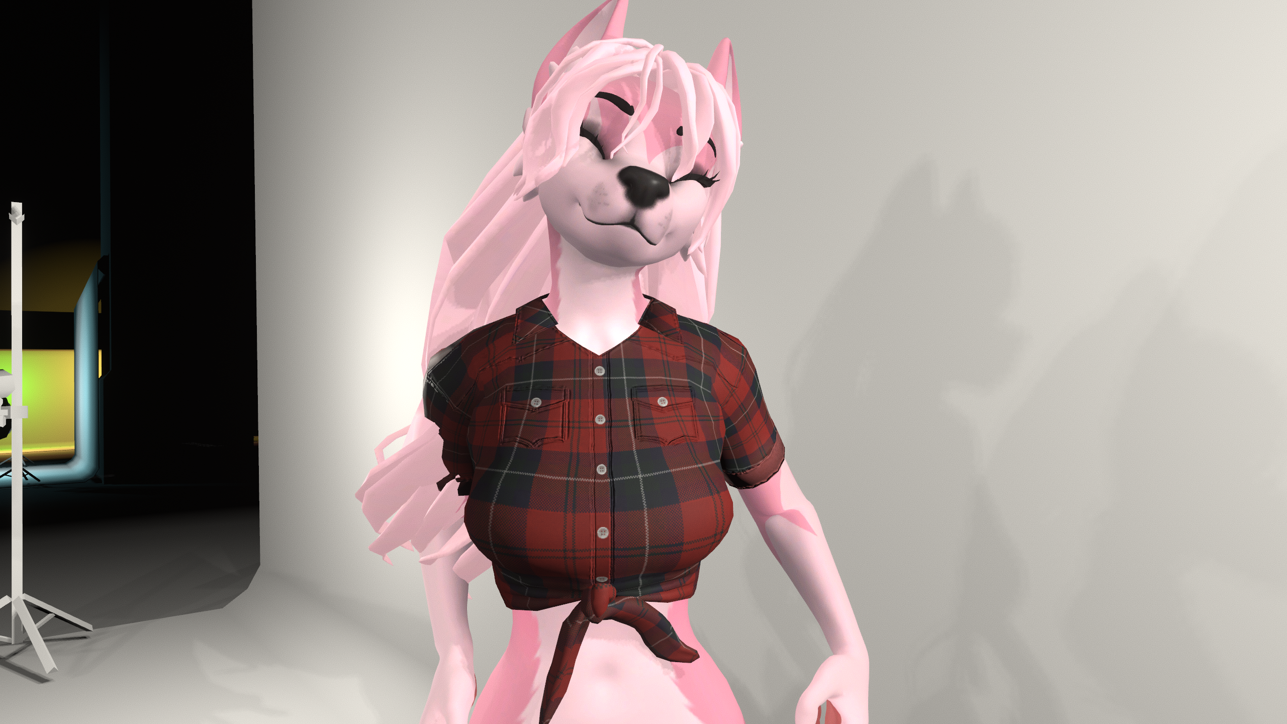 Tied Croptop - Winterpaw Femcanine