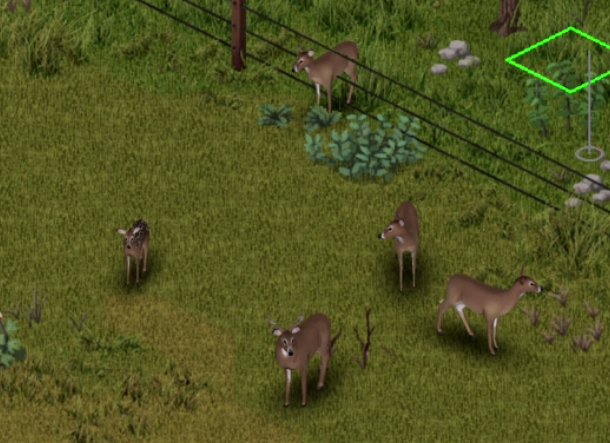 Banner Background
