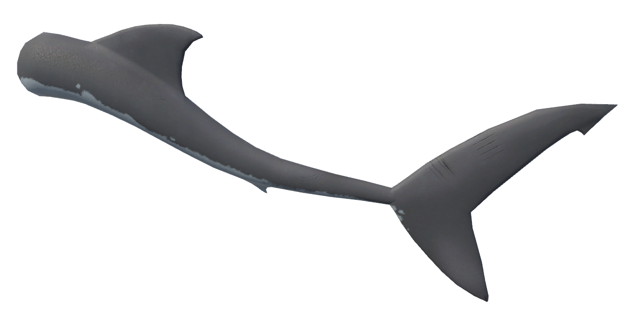 Kuda's Assets - Shark Tail