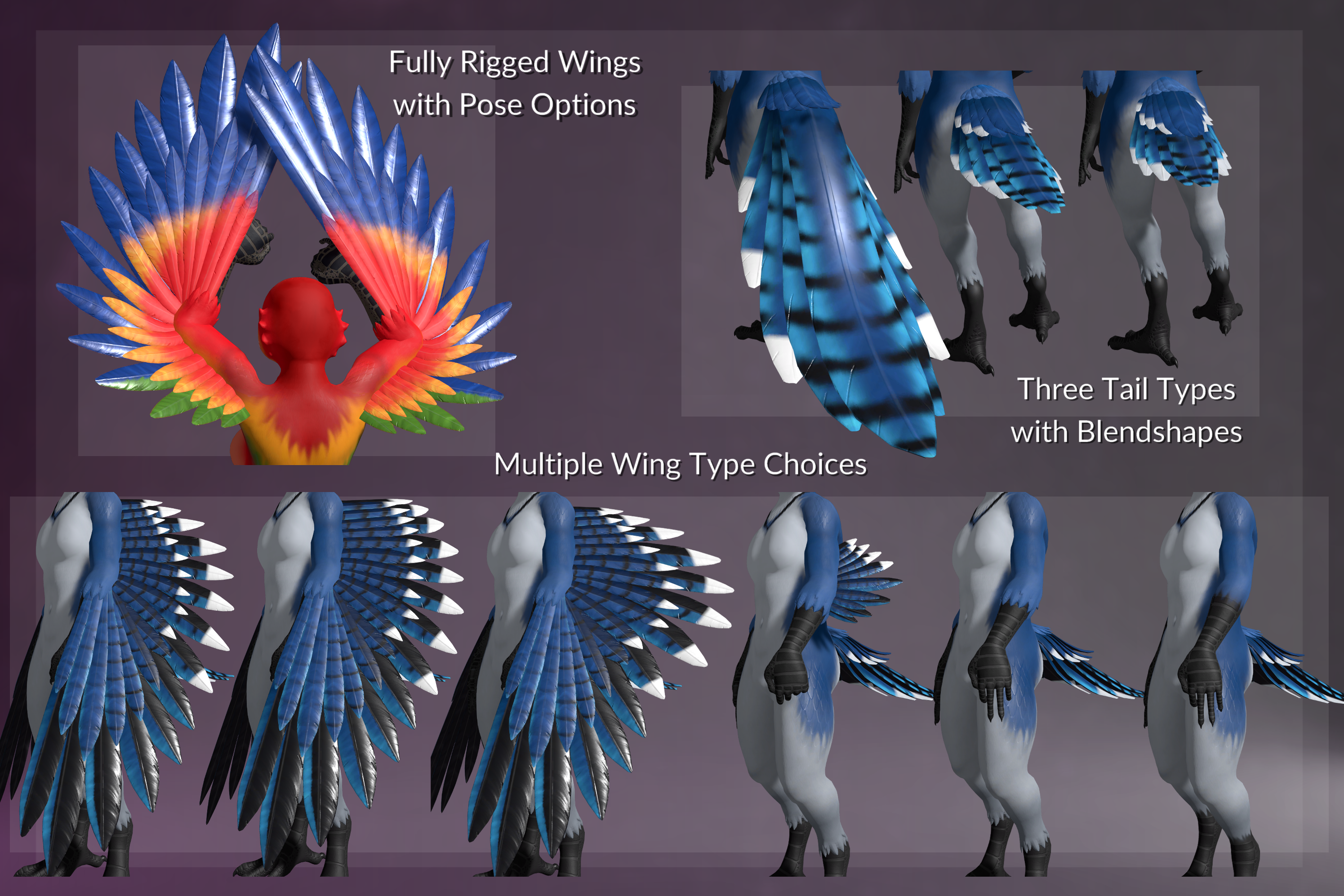 Kuda's Avians - Model and VRC Avatar pack