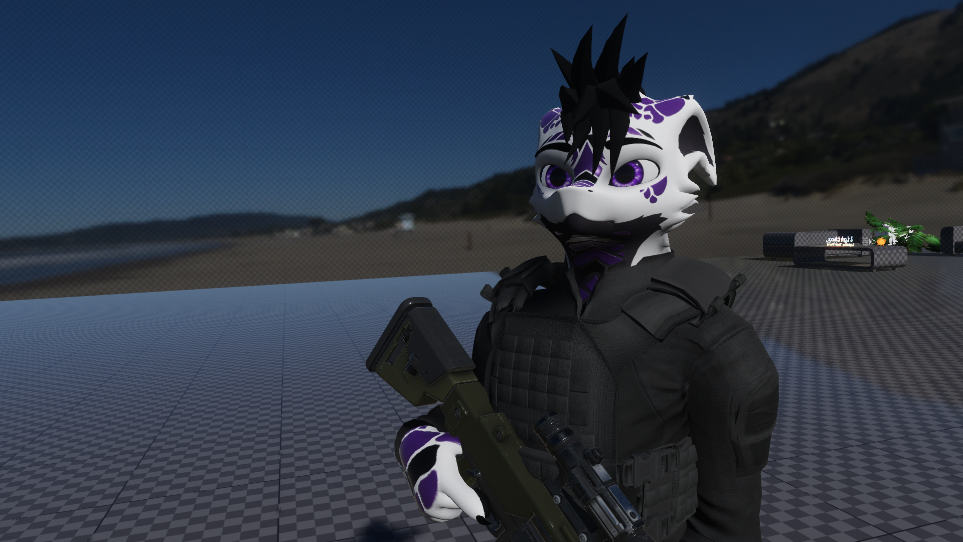 R-63CS Diligence Counter Sniper