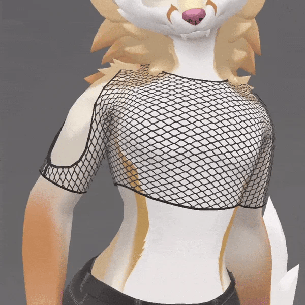 Fishnet Top for Vulper