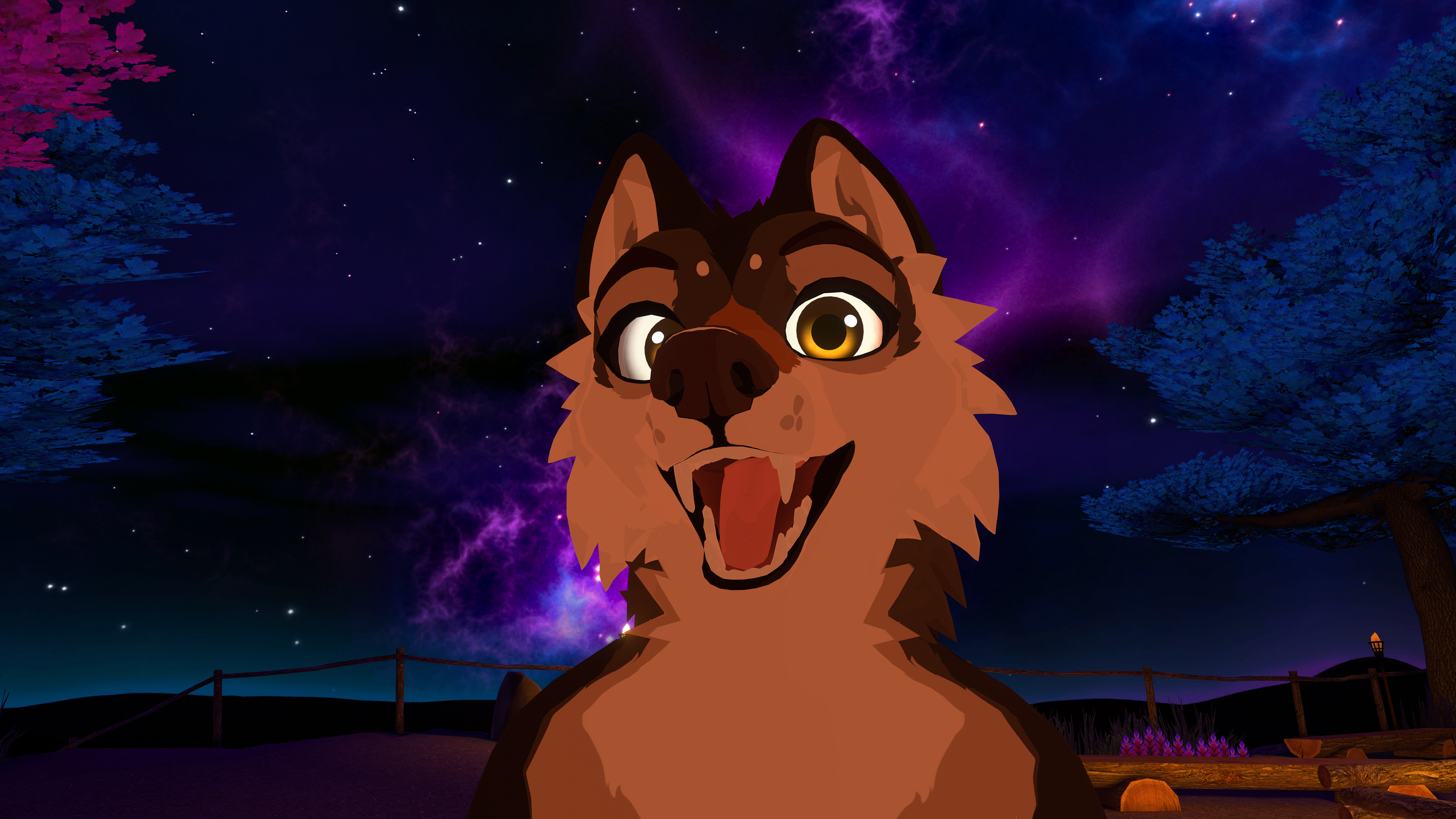 Pupper HD