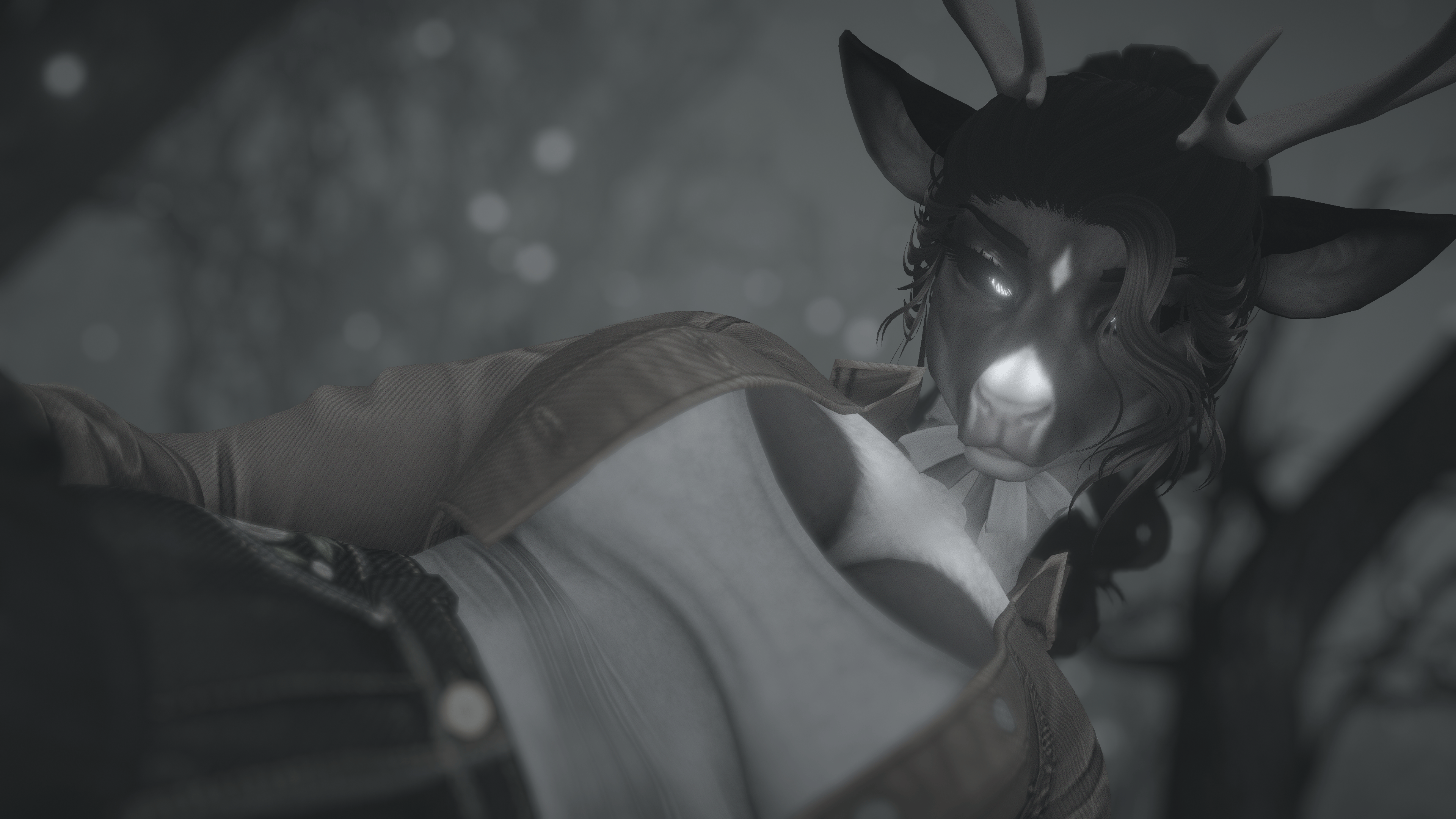 Banner Background