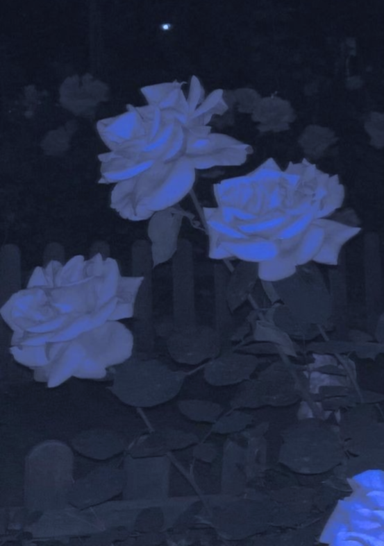Banner Background