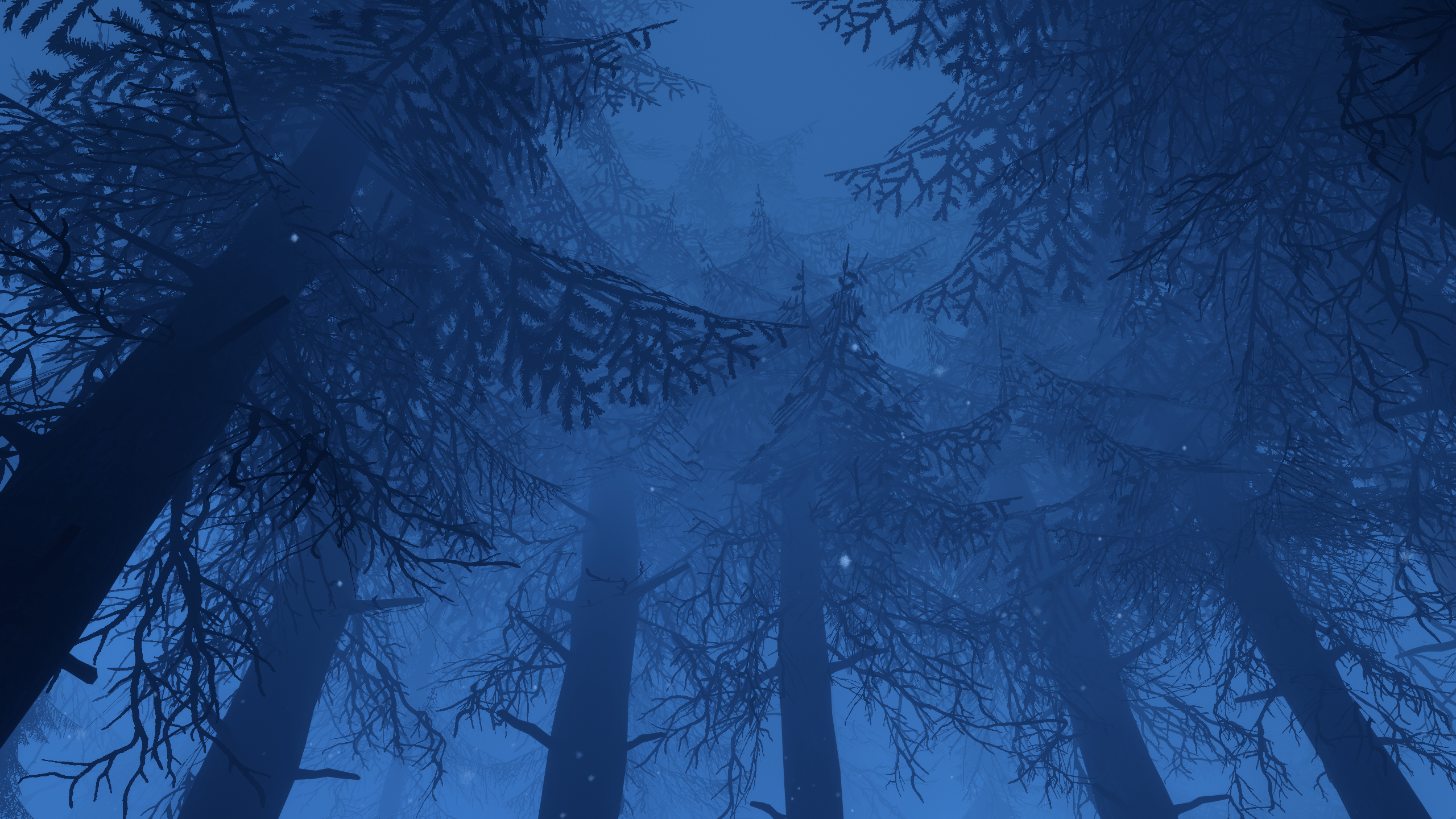 Banner Background