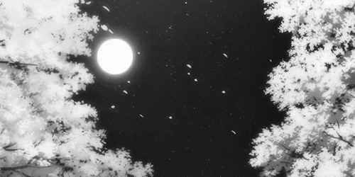 Banner Background