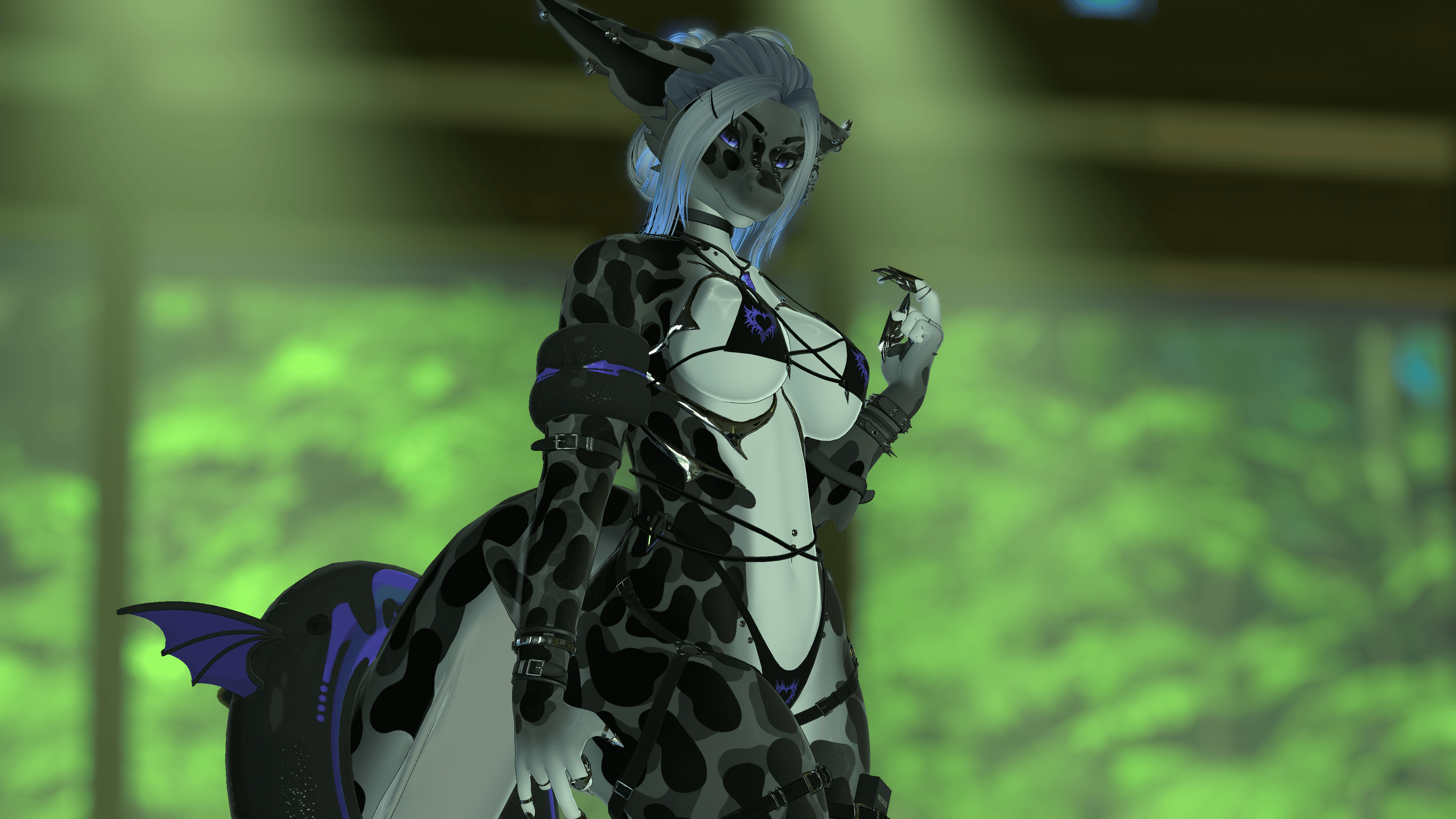 Ebony - Calypso Shark