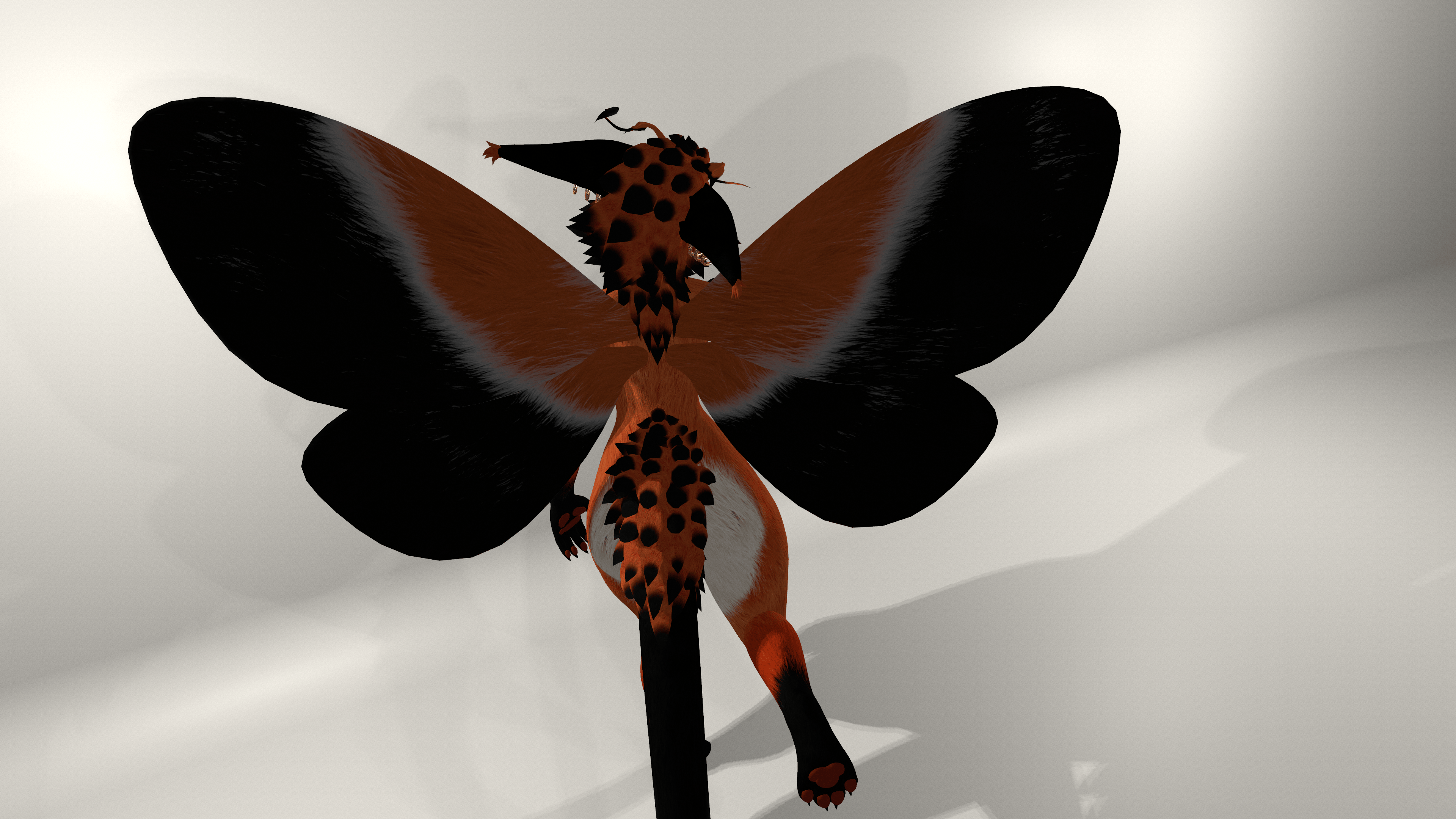 Maggie - Fox Moth